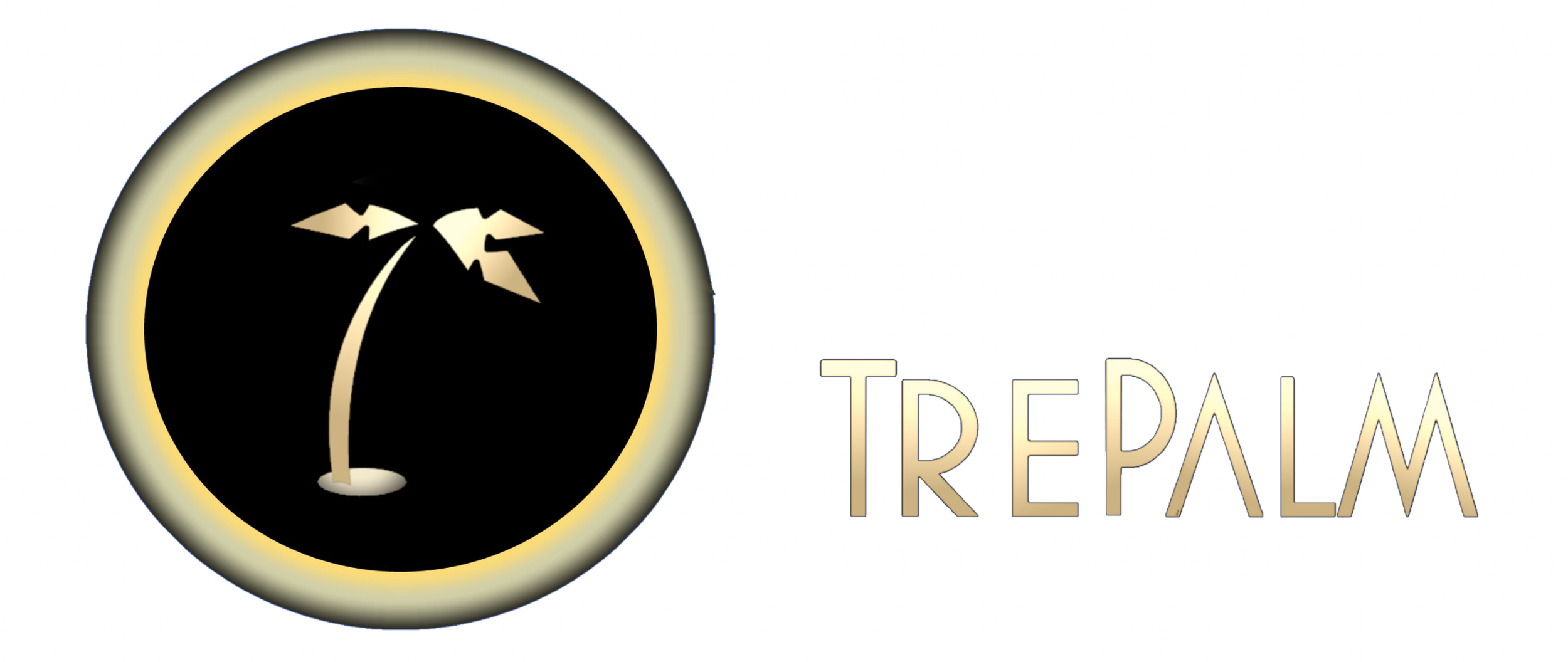 TrePalm | Toronto Video Production