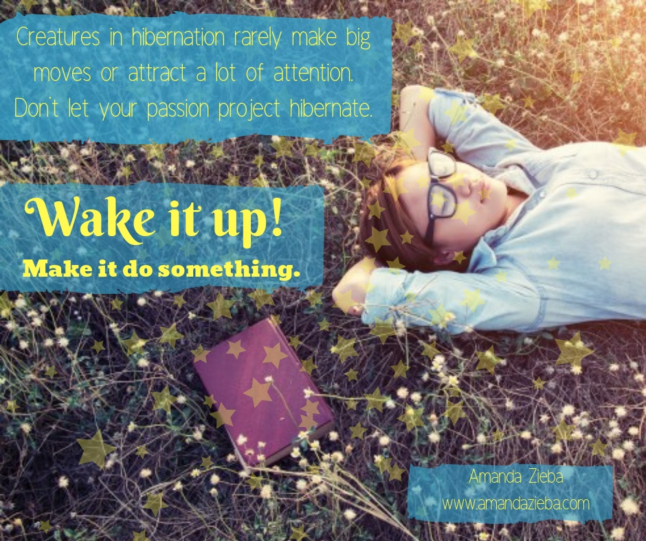 “Creatures in hibernation rarely make big moves or attract a lot of attention. Don’t let your passion project hibernate. Wake it up. Make it do something.” - AZ.jpg