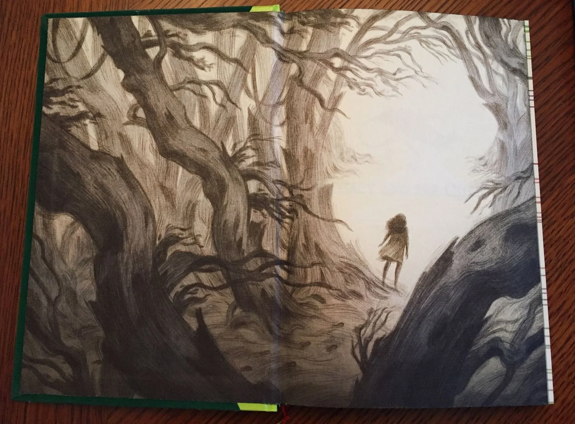 Check out these gorgeous end papers!