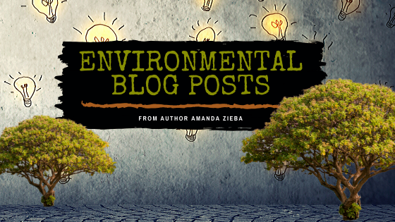 Environmental Blog Posts from Amanda Zieba (Copy)