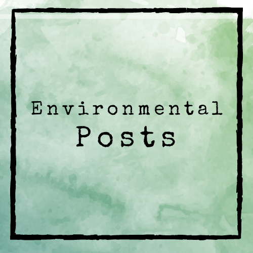 Environmental Blog Posts from Word Nerd Amanda Zieba