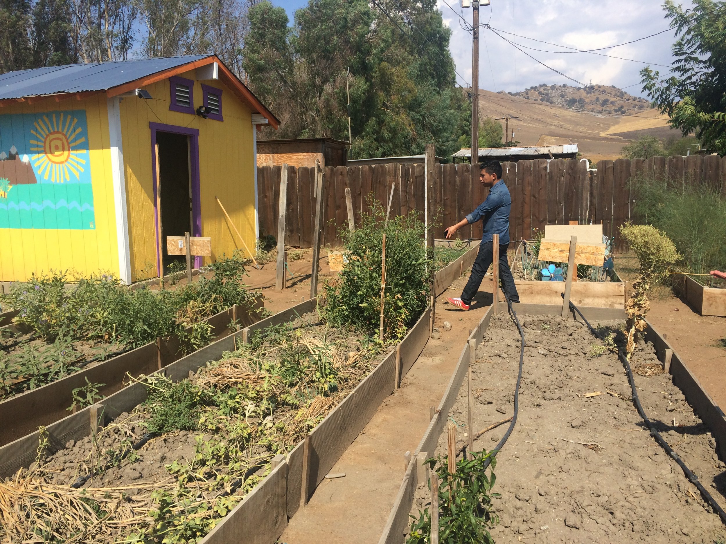 Tooleville, CA: Residents of the unincorporated farmworker community of Tooleville, CA watch their community garden shrivel due to a lack of water supply in the community despite vast production of nuts, citrus, and olives surrounding the settlement. In addition to an acute lack of water supply, Tooleville also deals with the lack of basic infrastructure such as sidewalks, transit, and protection from the pesticides being applied in the surrounding fields around the clock. 