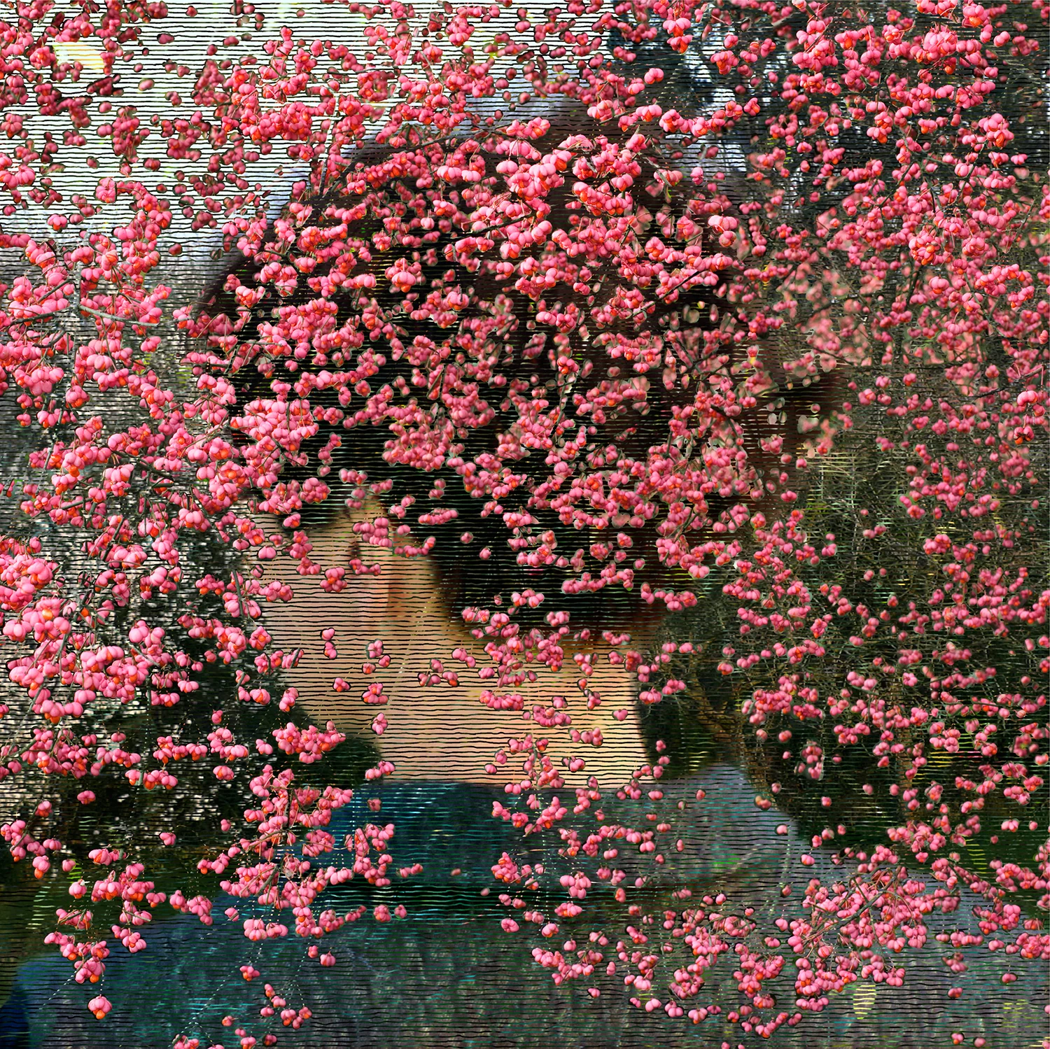Beyond The View, No. 5 (2009)