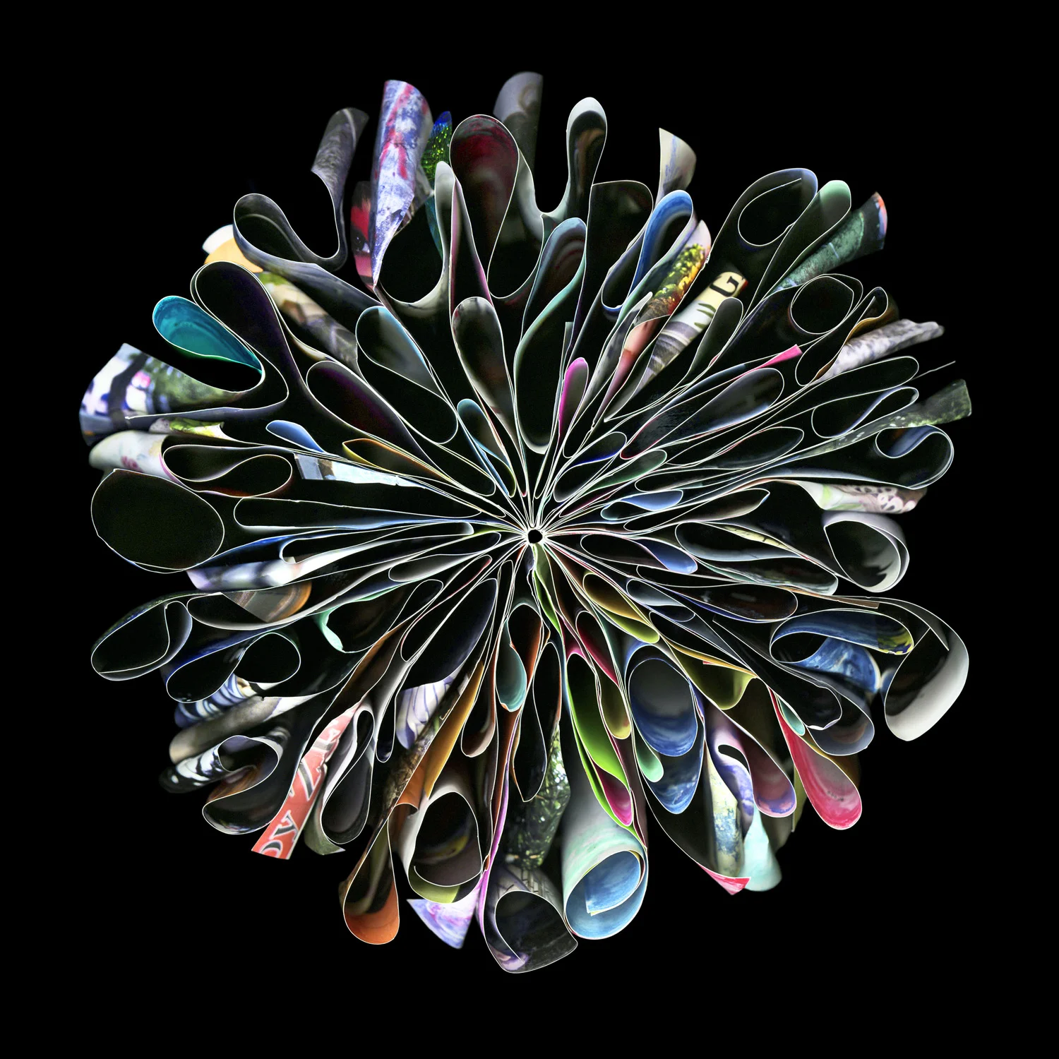 Harajuku (2015)