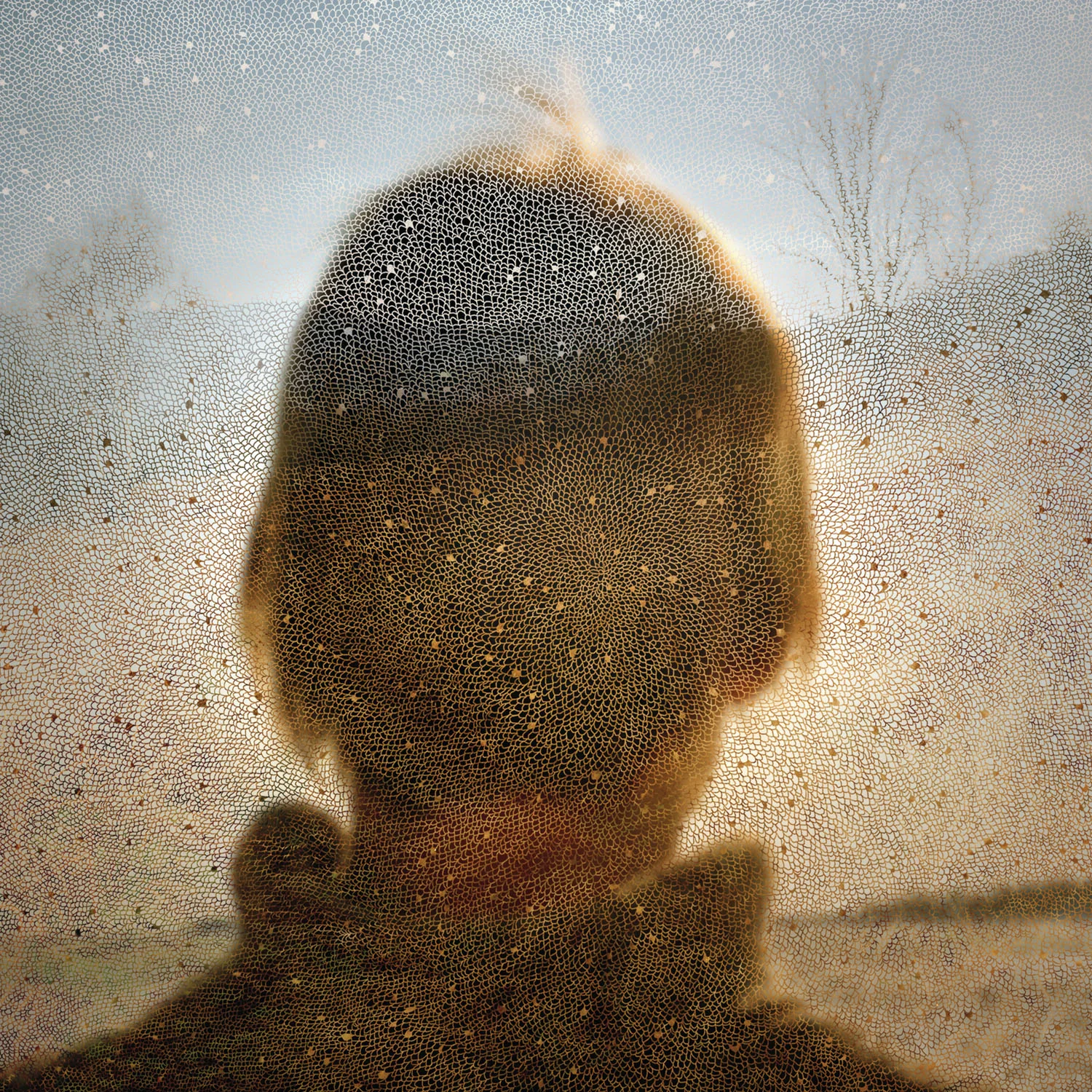 Inside The View, No. 7 (2005)