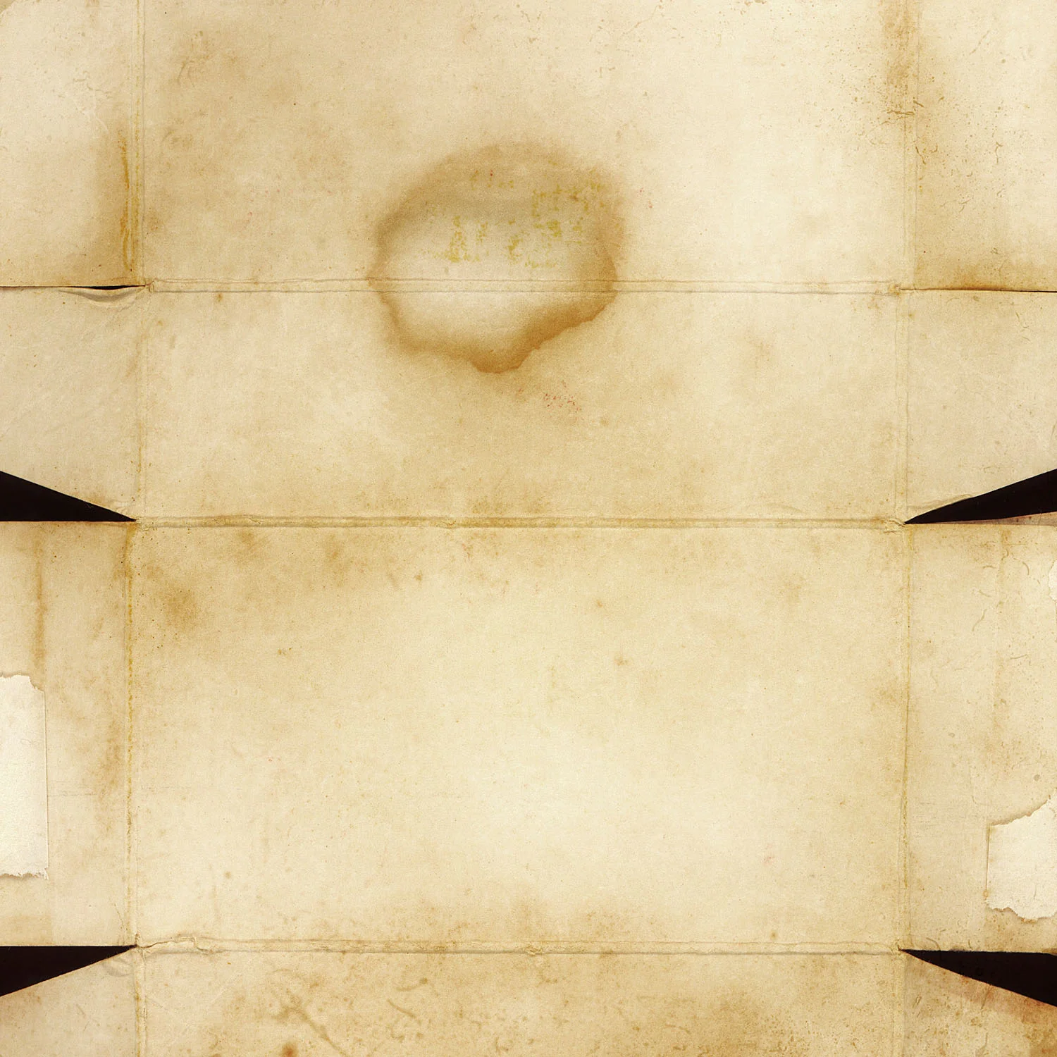 Develop Before Oct 1978 (Kodacolor II 12), 2014–2015