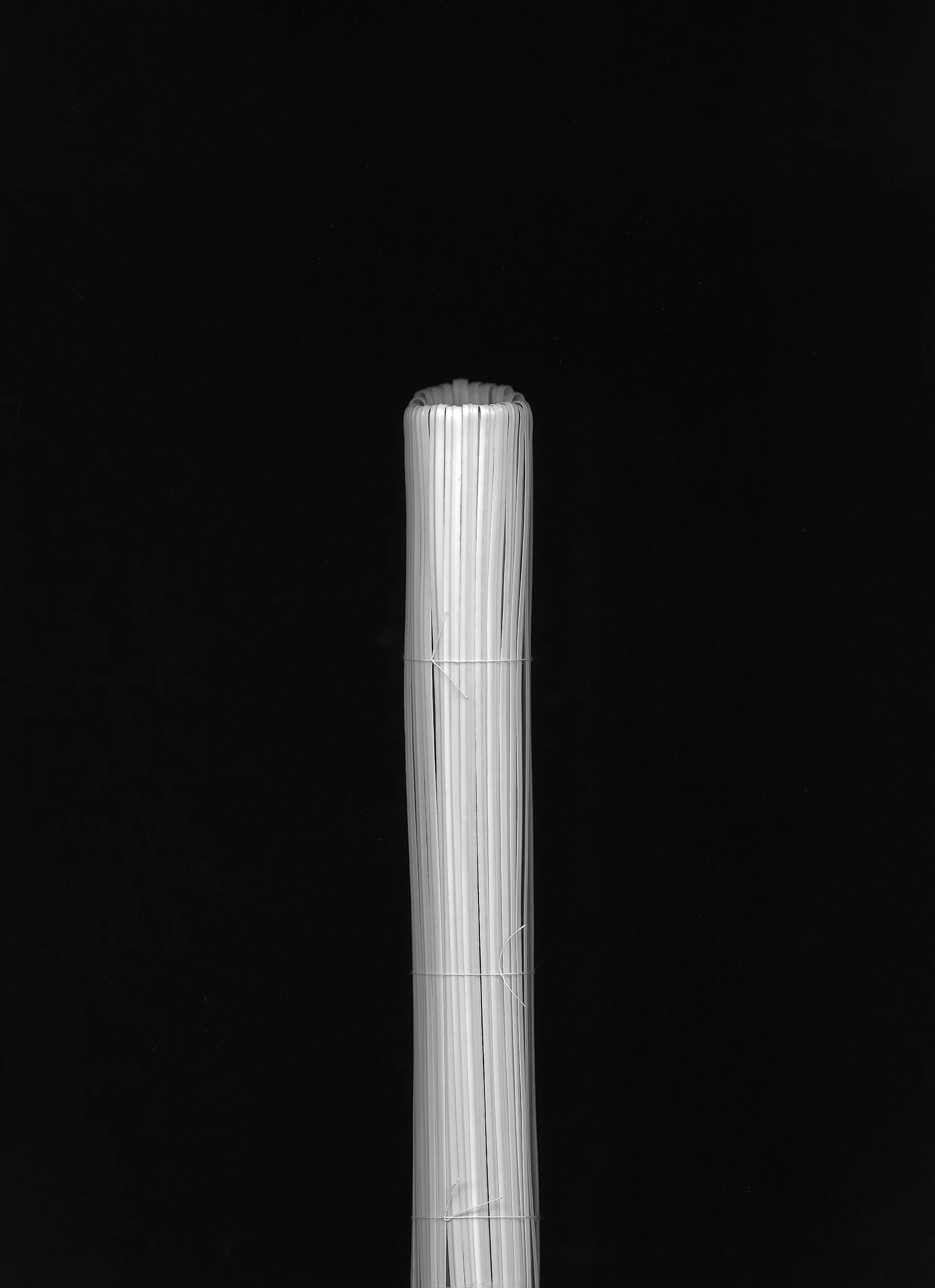Horsetail (2016)