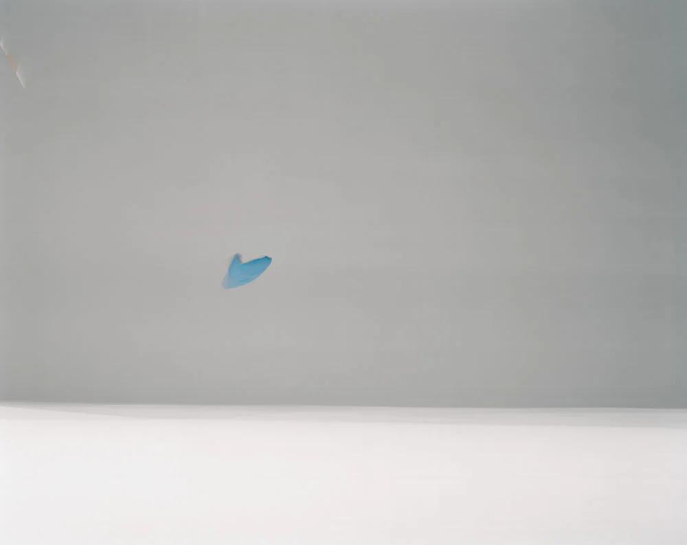 sl_still_life_02.jpg