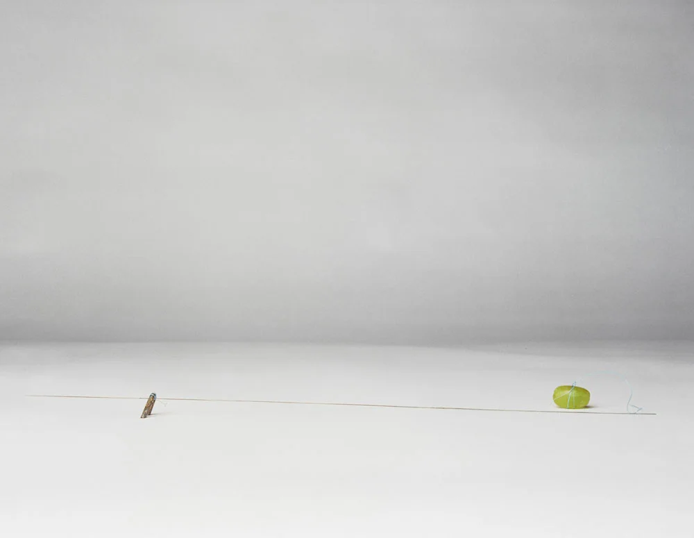 sl_still_life_17.jpg