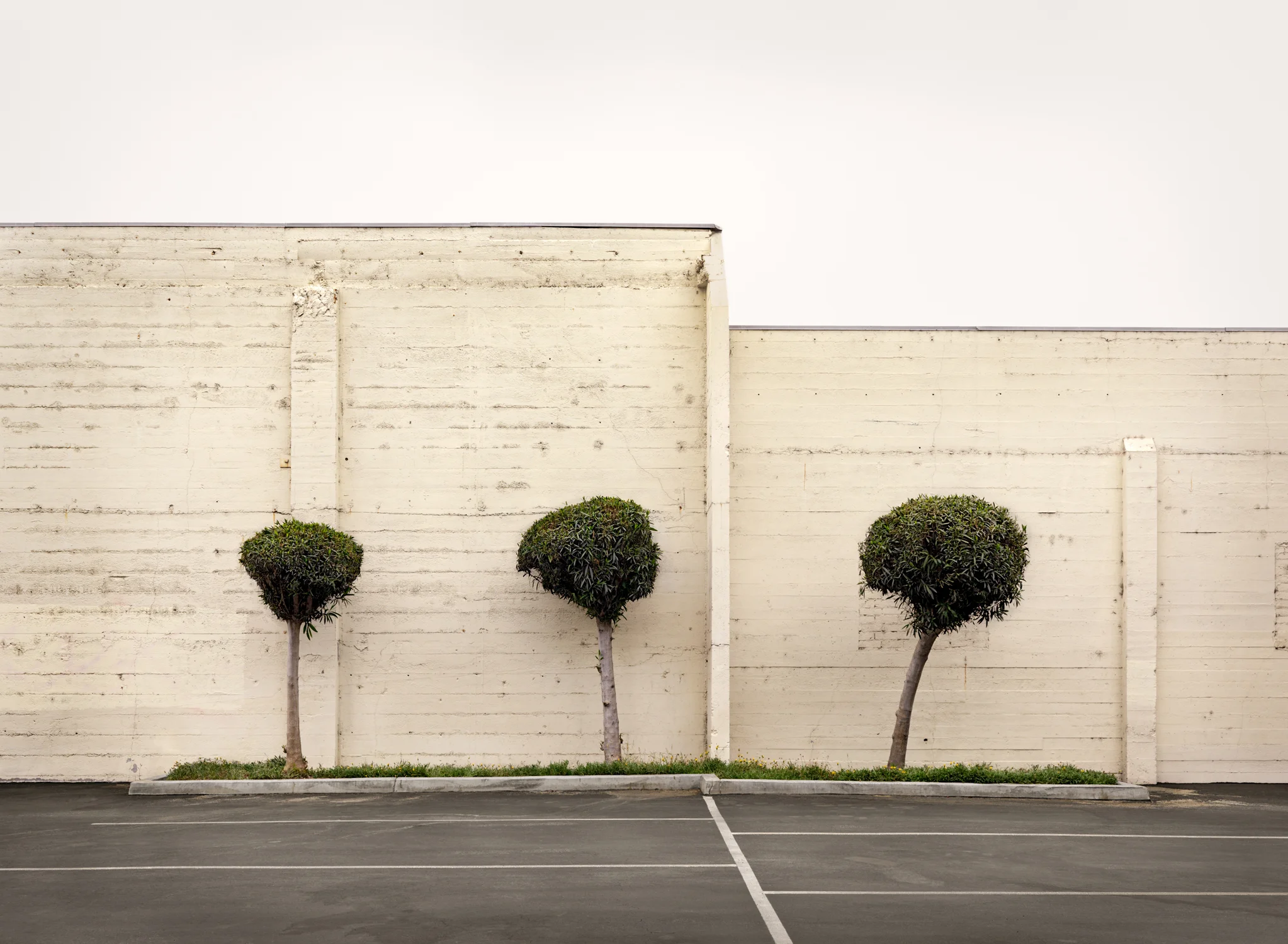 BRAD MOORE