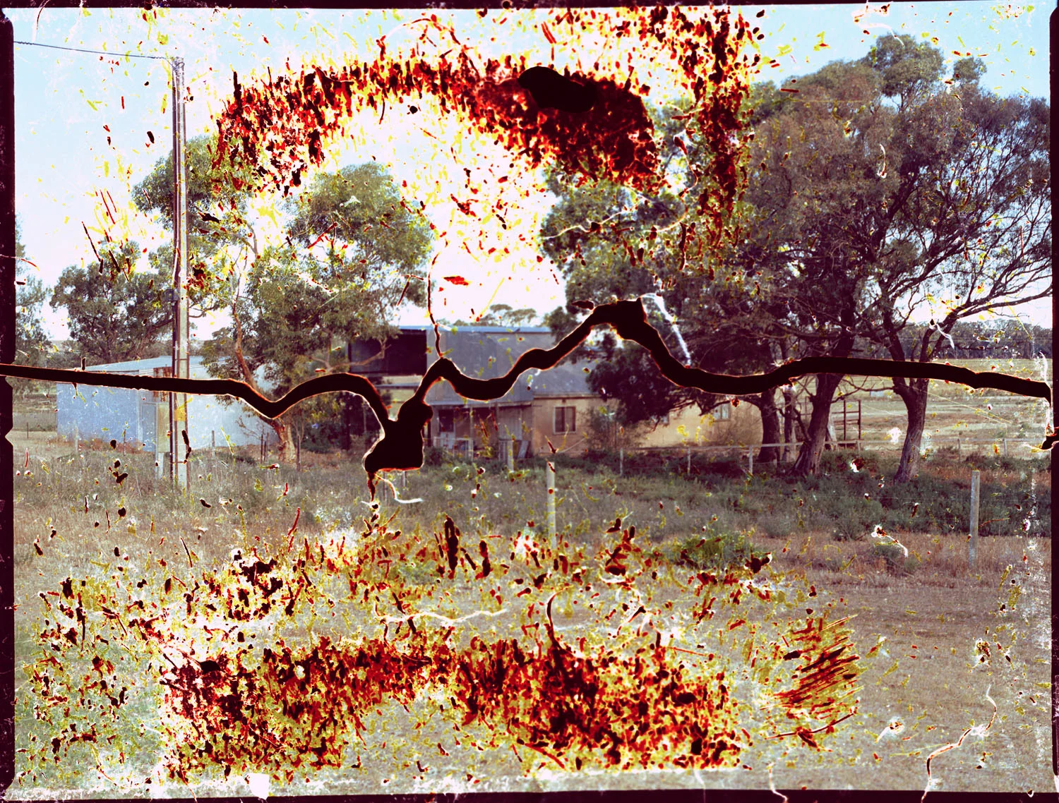 Dad #4 (Left Foot), (2012)