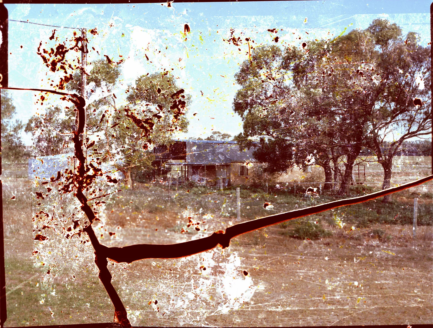 Dad #5 (Right Foot), (2012)