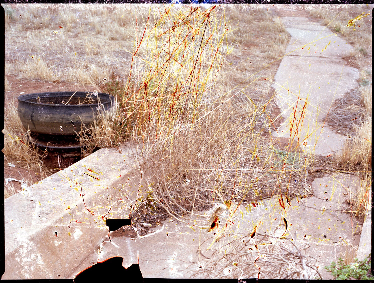 Mum #1 (Left Foot), (2012)