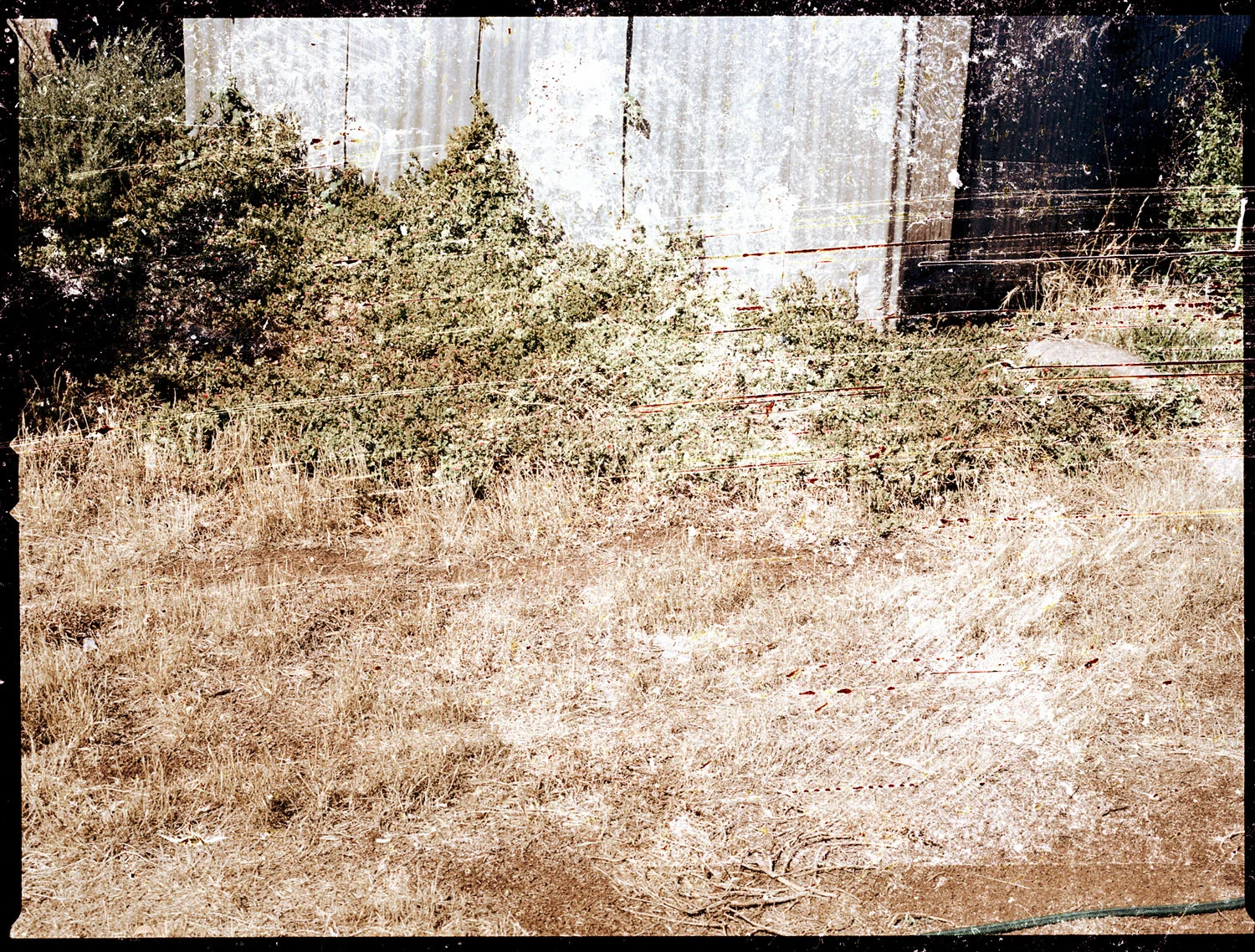 Mum #12 (Right Foot), (2012)