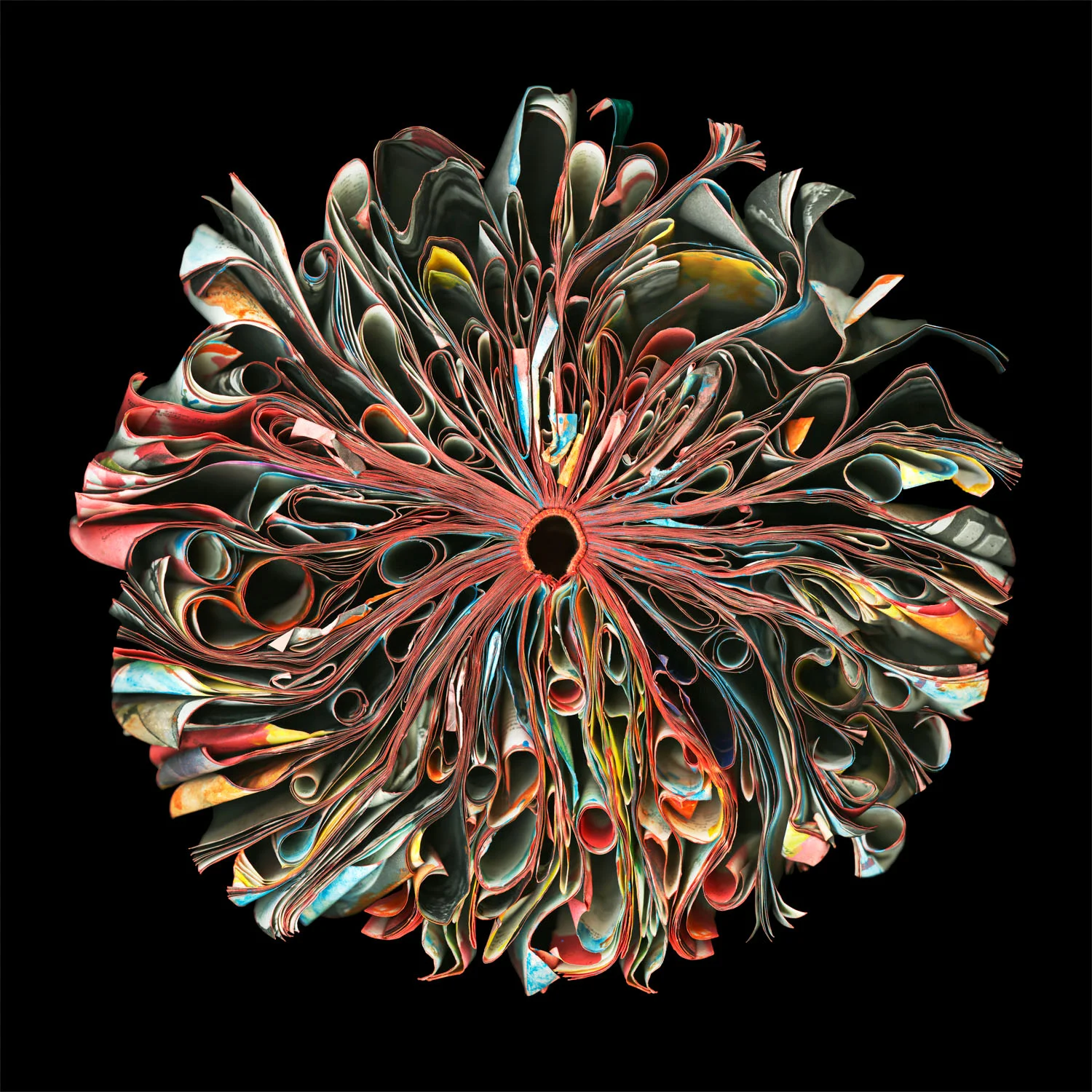 CARA BARER September 11– October 26, 2013