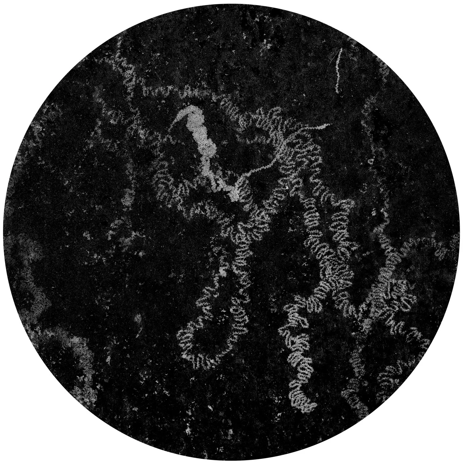 Carta Cosmographica (2009)