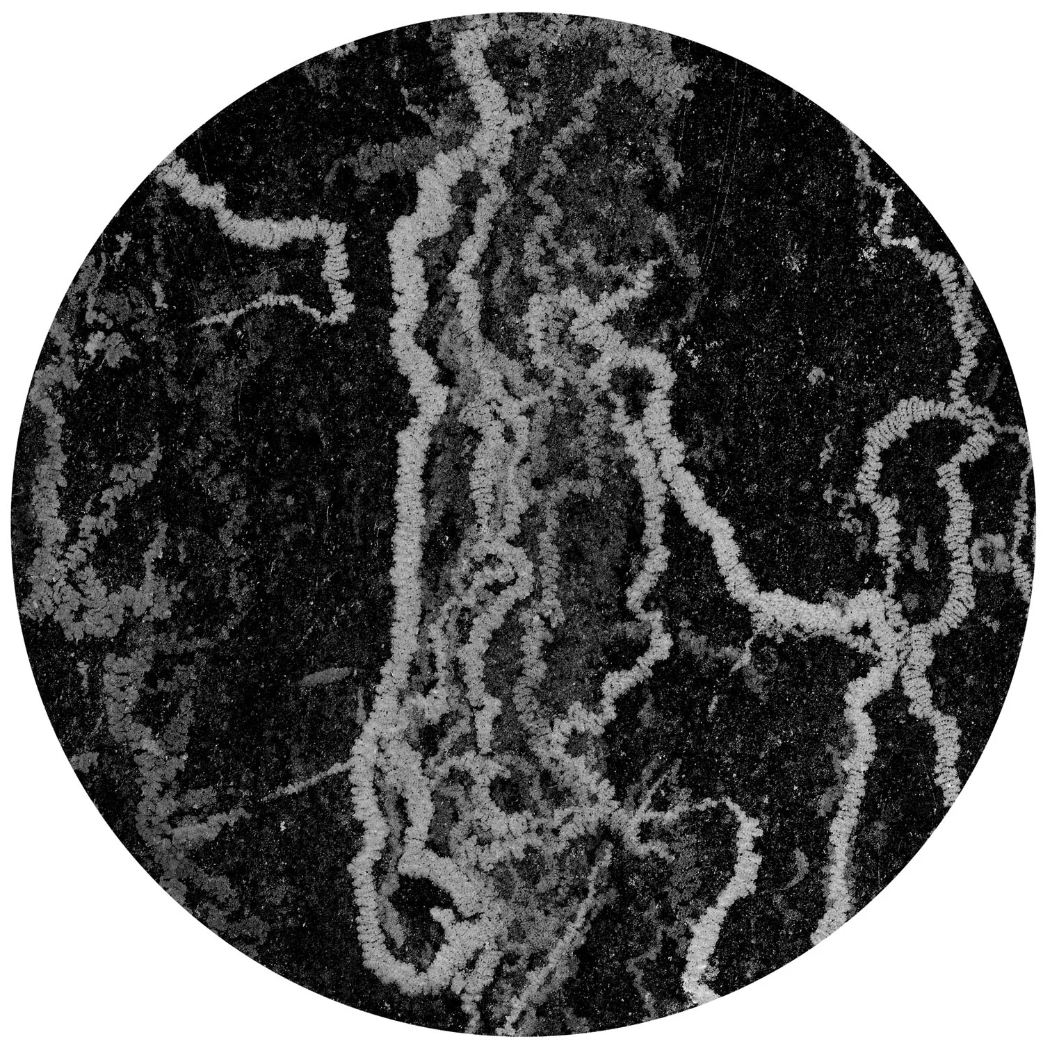 Mappa Mundi (2009)