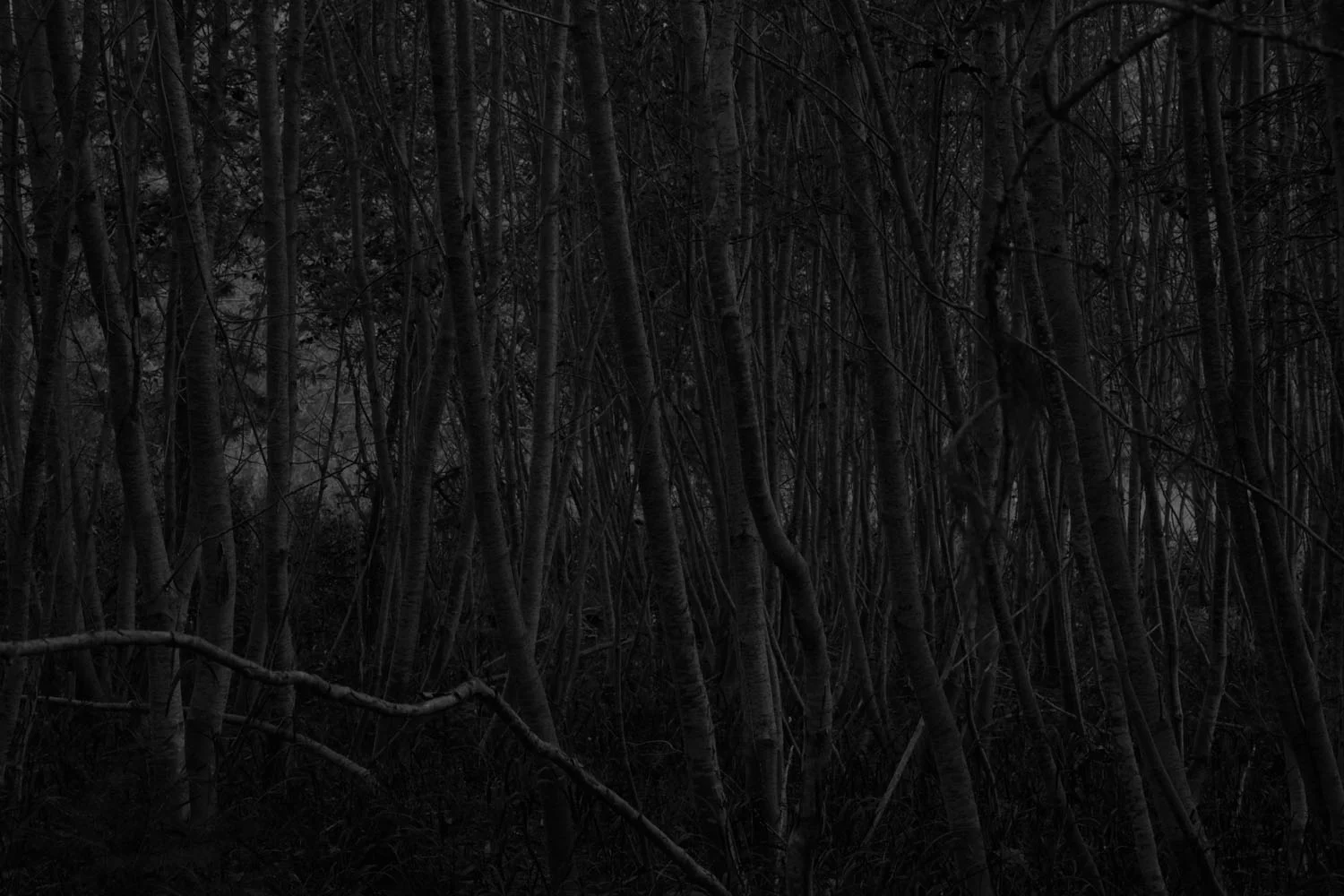 Accretion (2014)