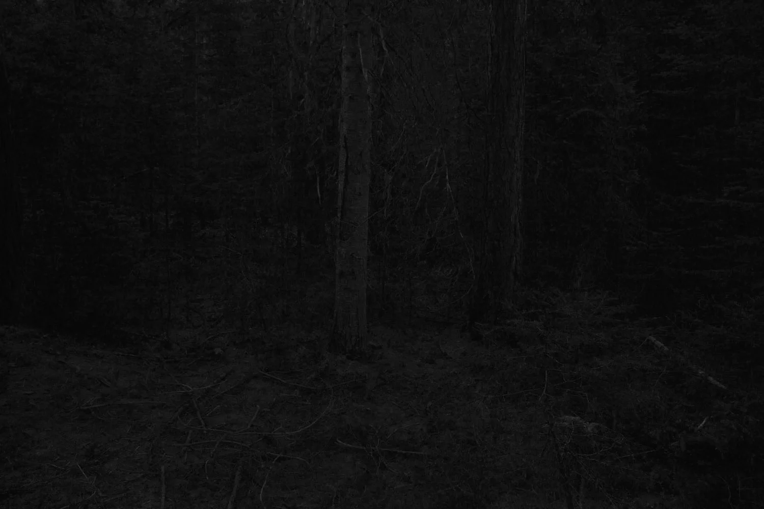 Evanescent (2012)