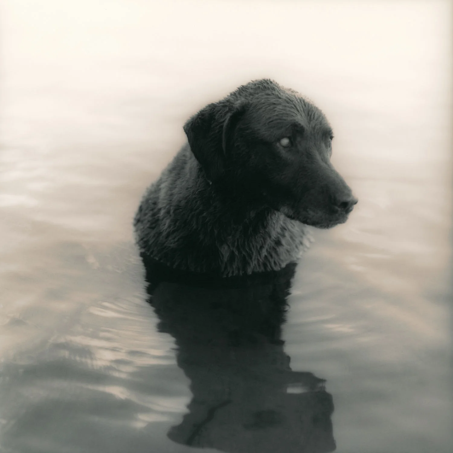 KEN ROSENTHAL
