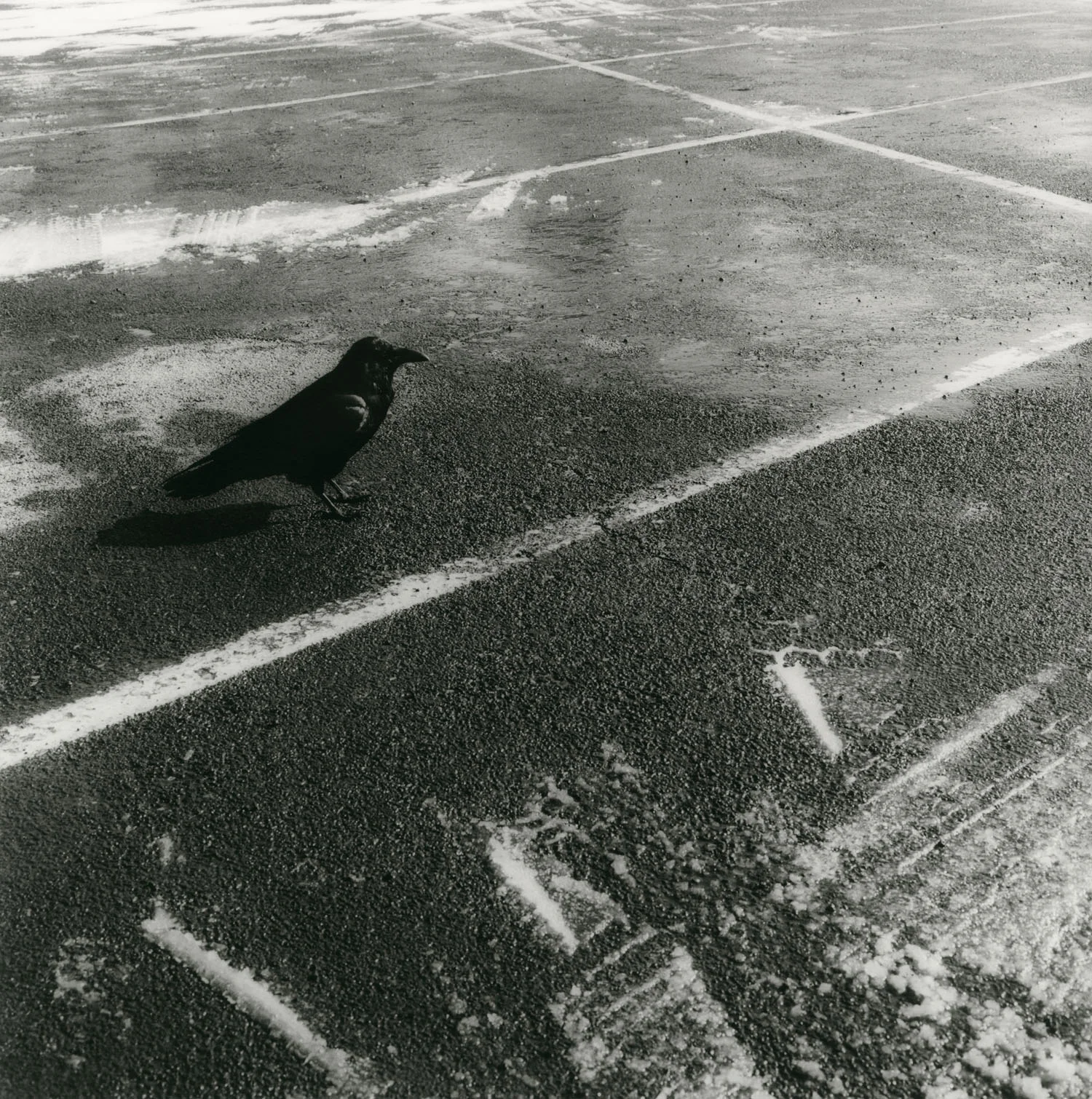 Raven (2010)