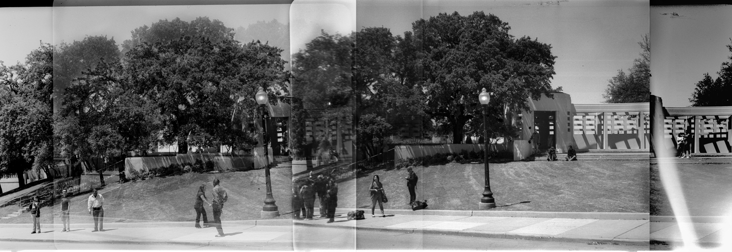 A photograph by William Greiner.