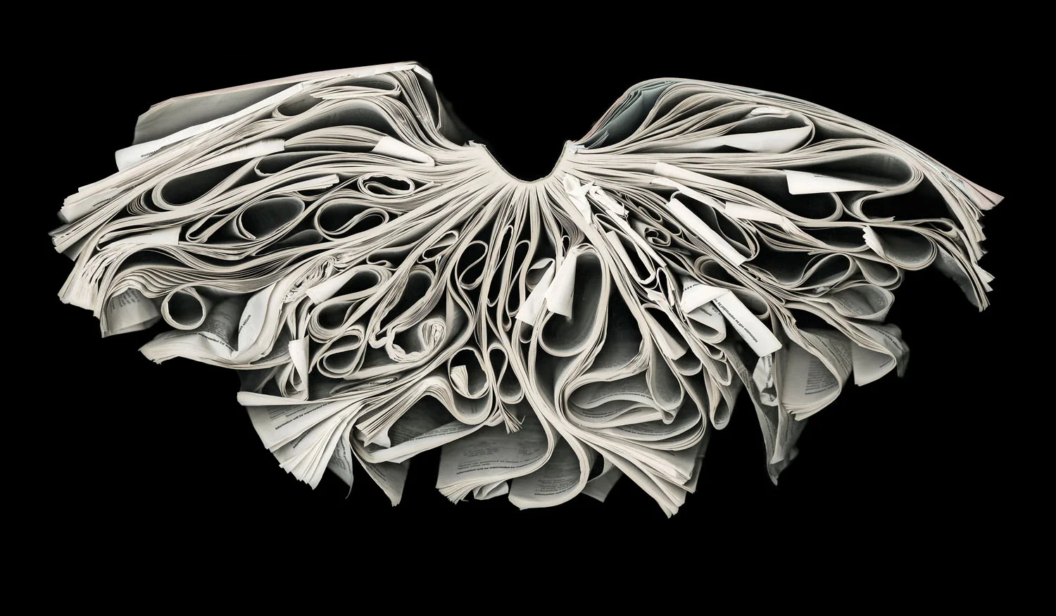 Venatrix (2010)