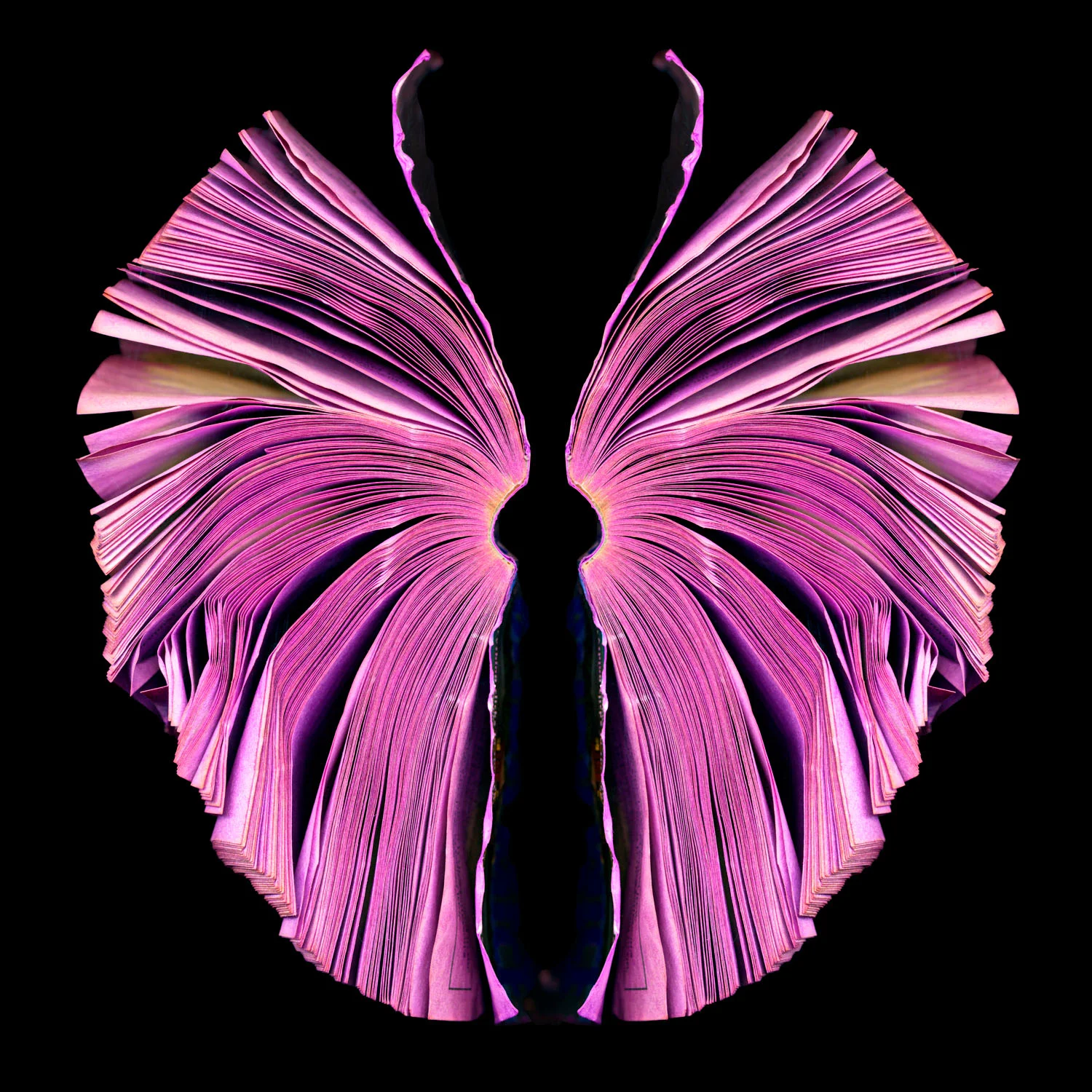 Pink Butterfly (2011)