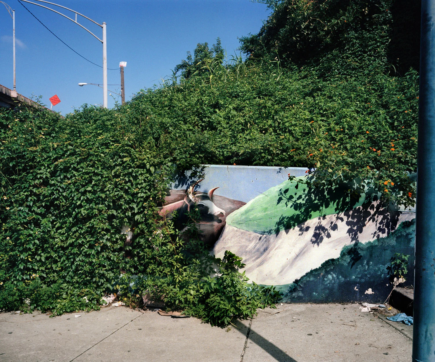 Bull Mural (1999)