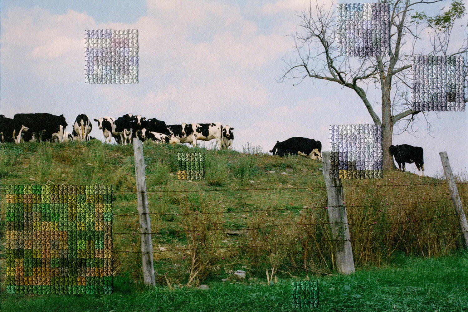 New Jersey VII (2012)