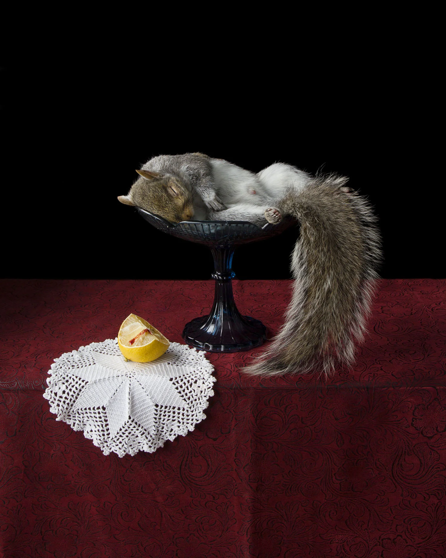On Ripeness and Rot #17 (Lemon and Squirrel) (2013)