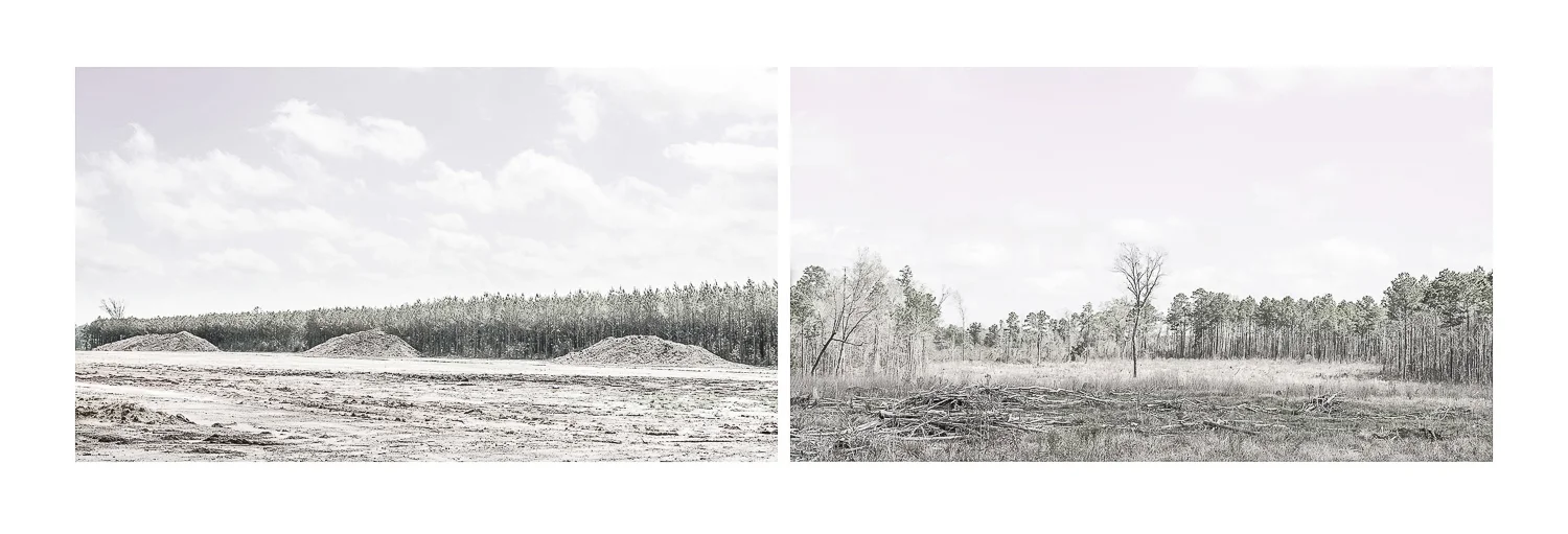 A Matter Of Perspective, 2017