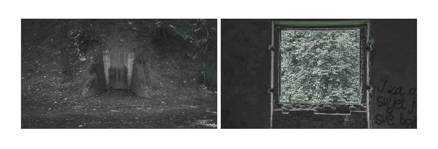 In Or Out?, 2017
