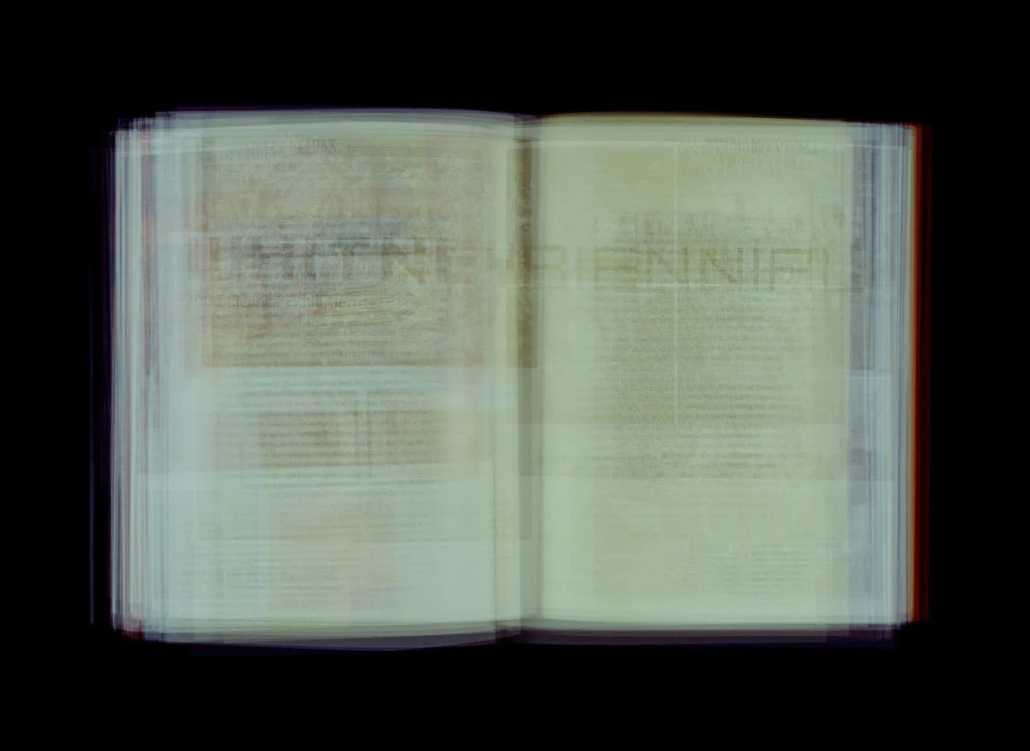 WHITNEY BIENNAL – 2000 BIENNAL EXHIBITION (2001)