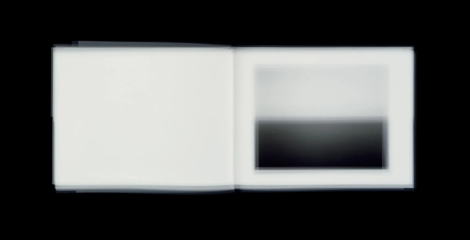 SUGIMOTO (2001)