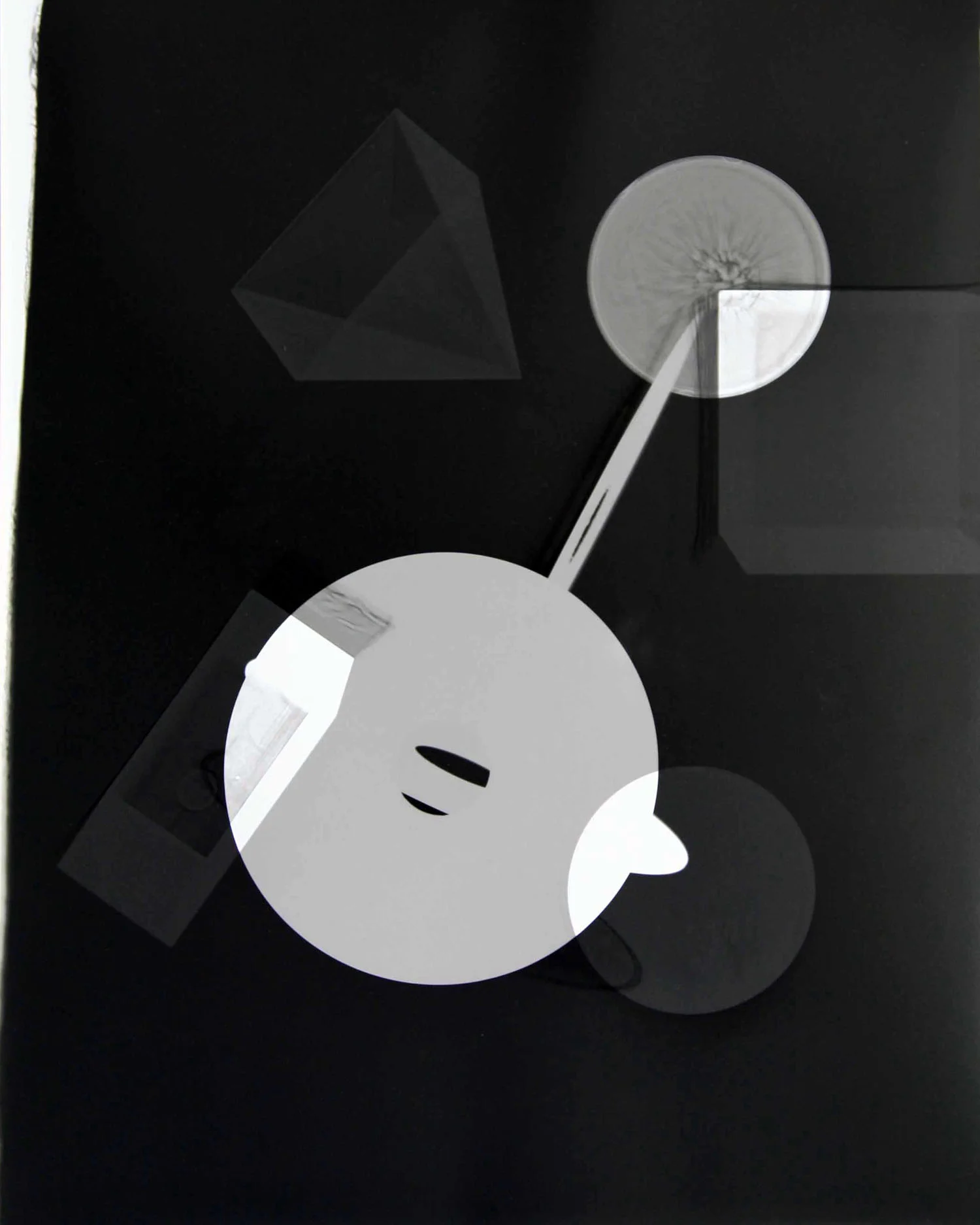 FORMS AND RECORDS BW NO. 13 (2014)