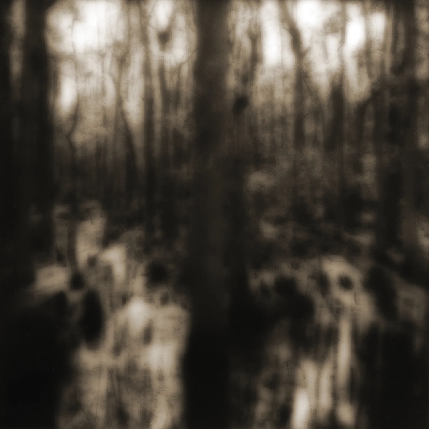 NOT DARK YET #DCNC-6 (2002)