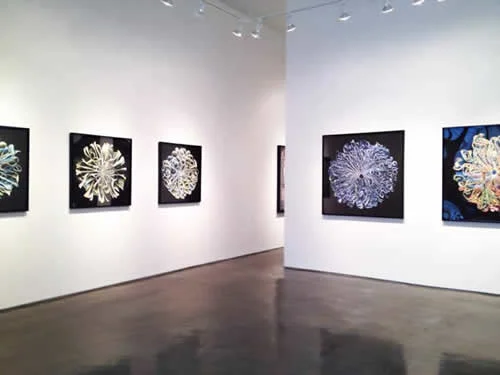 Installation shot of the Klompching Gallery, showing work by Cara Barer.