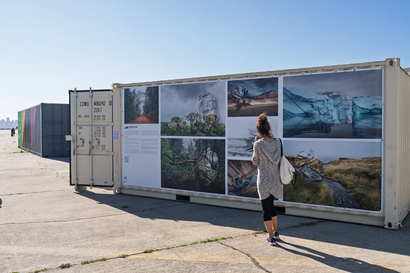 INGRID WEYLAND: FESTIVAL EXHIBITION