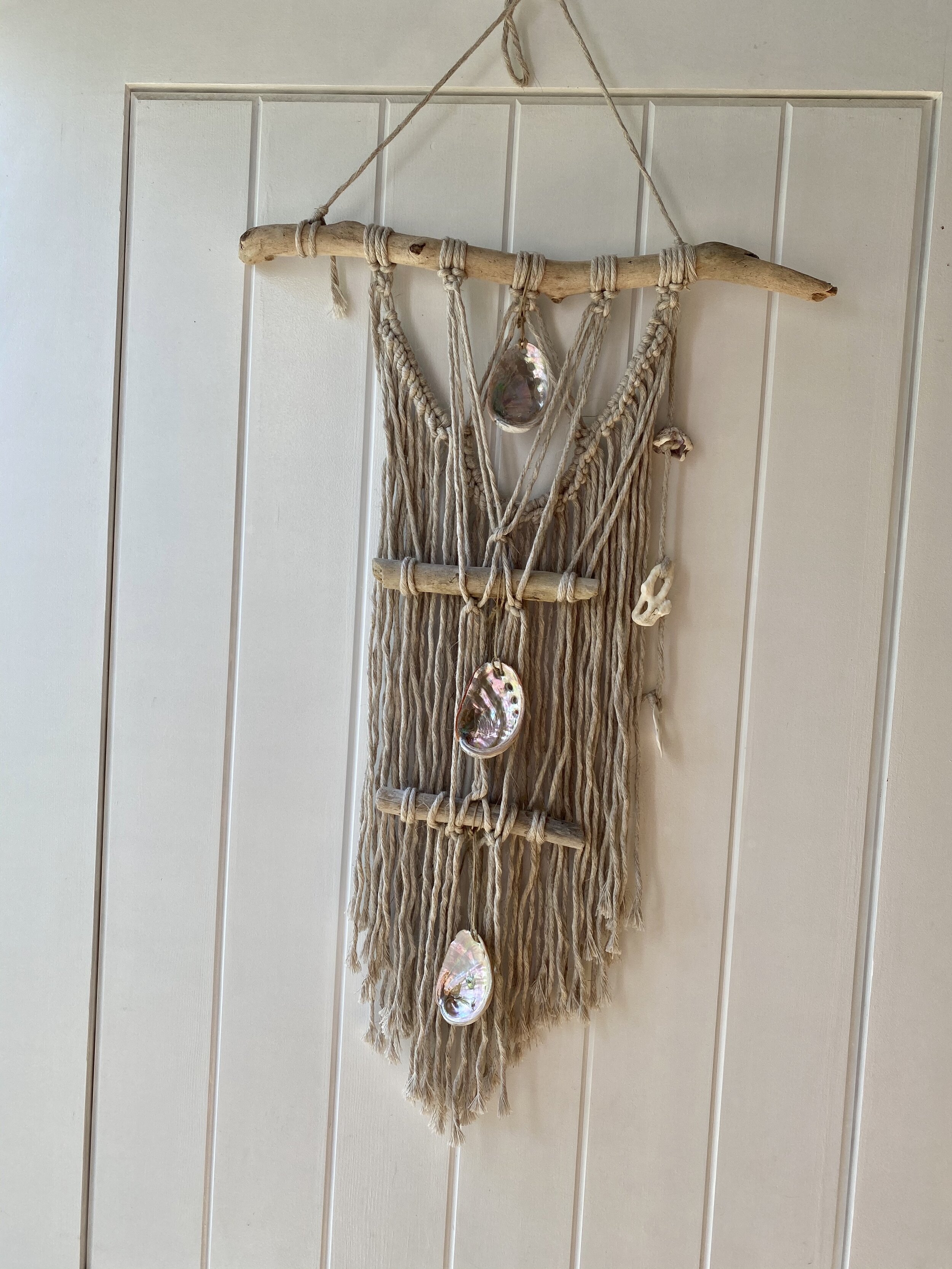 OCEAN Three Abalone Wall Hanging