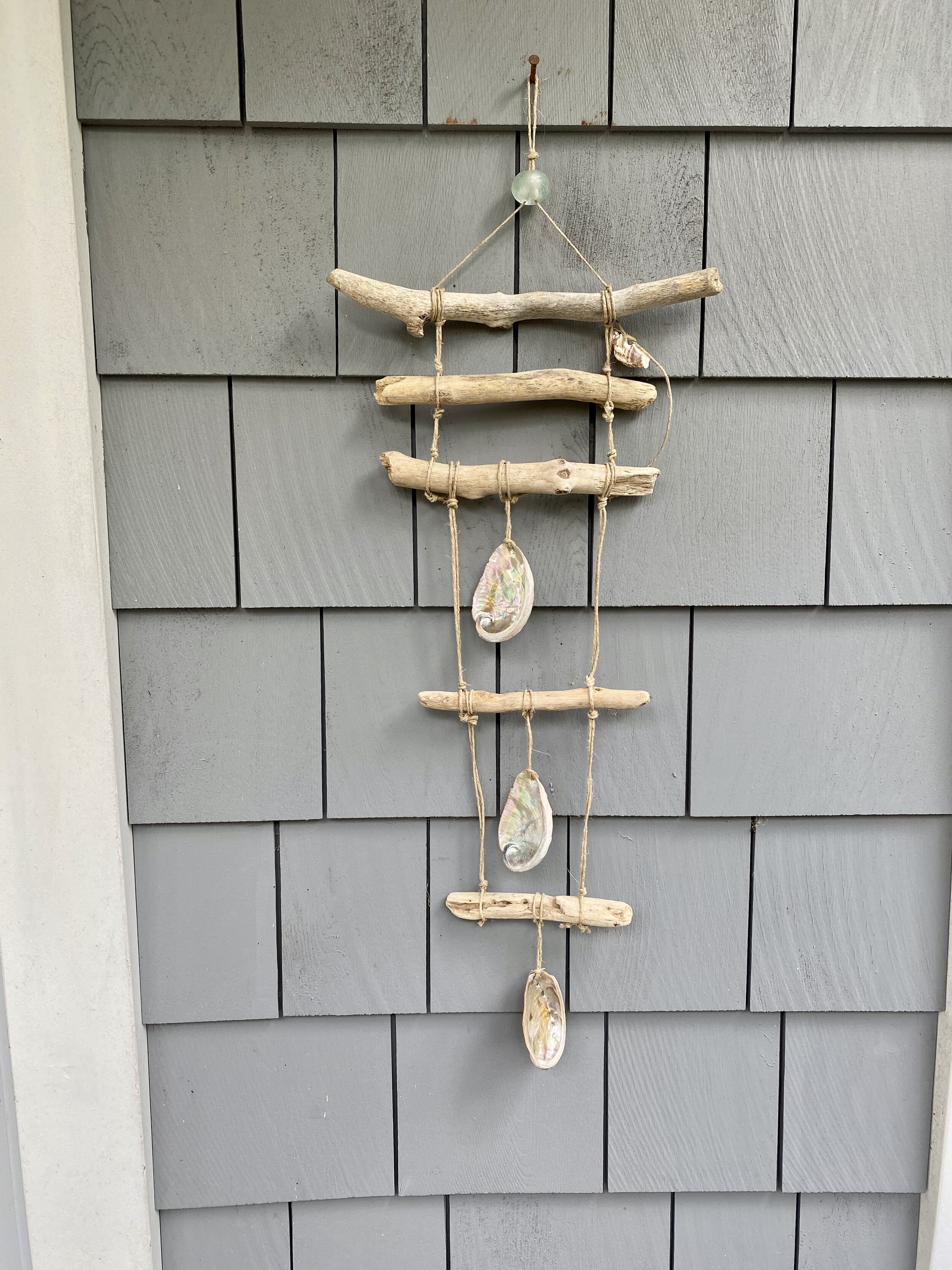 DRIFT Abalone Driftwood Wall Decor