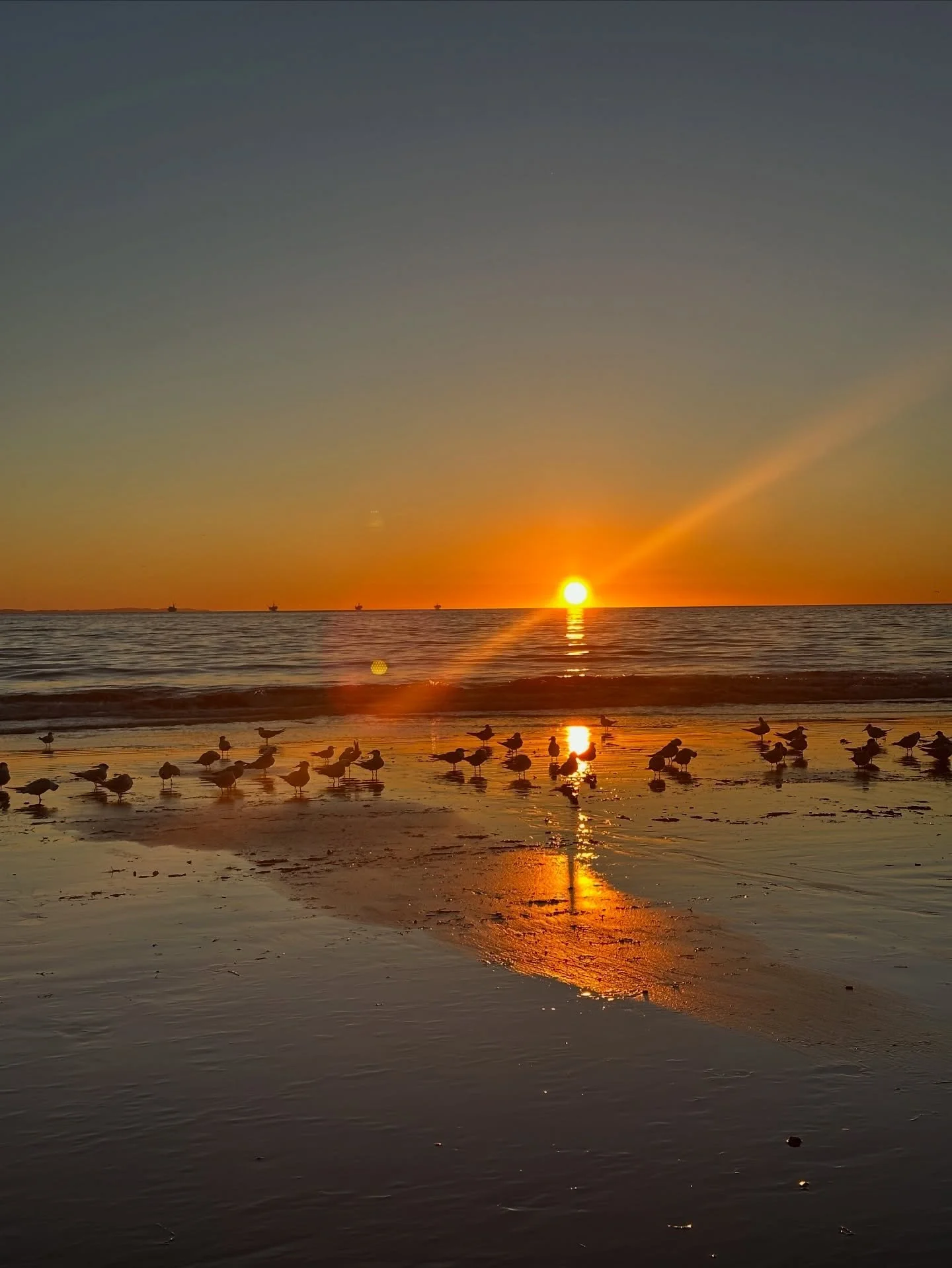 Winter magic&hellip;
&bull;
&bull;
&bull;
#beachtime #oceanlover #california #carpinteria #805