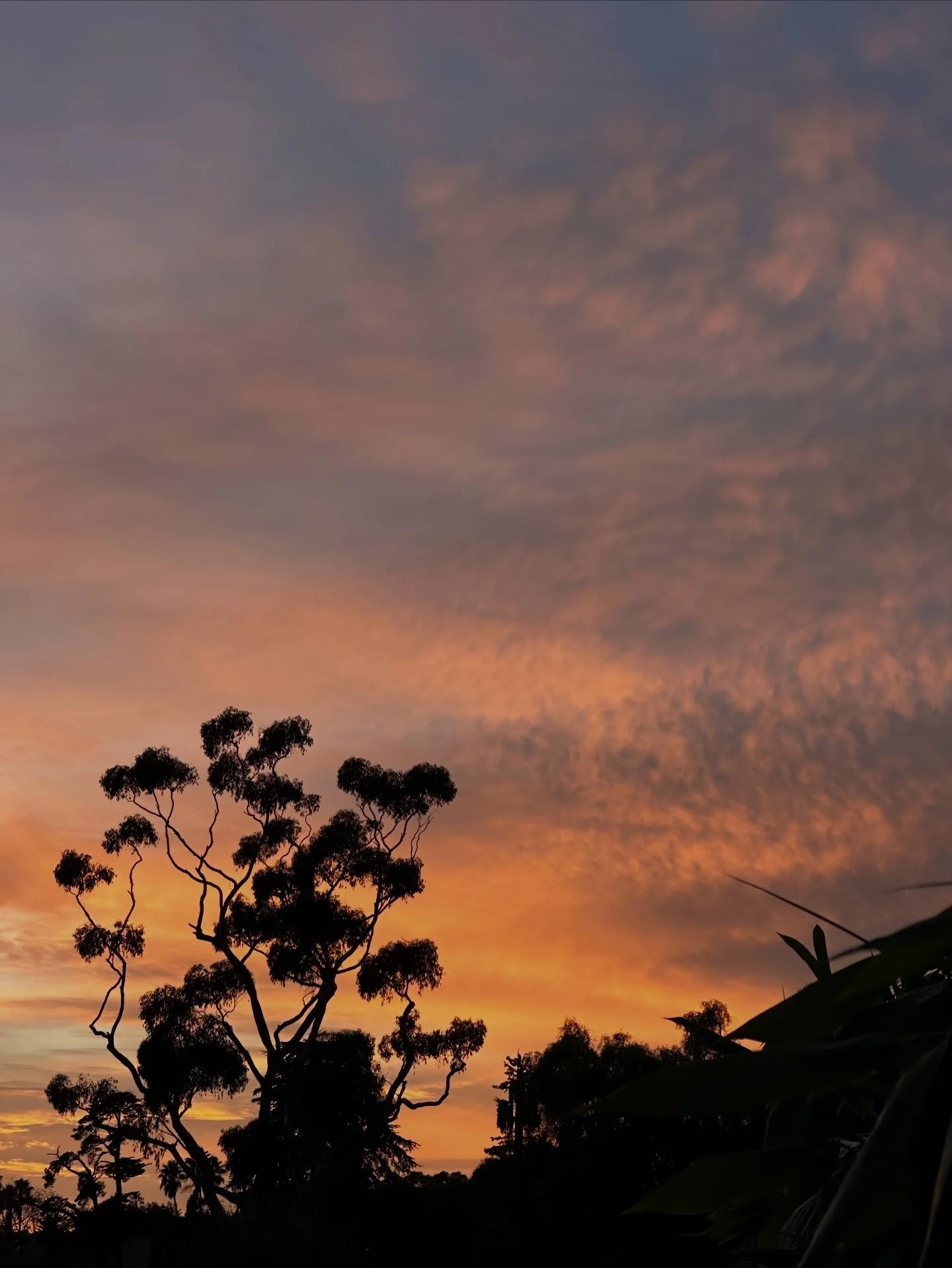 I love the sunsets and sunrises this time of year. Clear skies before the rain!
&bull;
&bull;
&bull;
#sunset #instagramsunset #montecito #805 #upstairspierrelafond