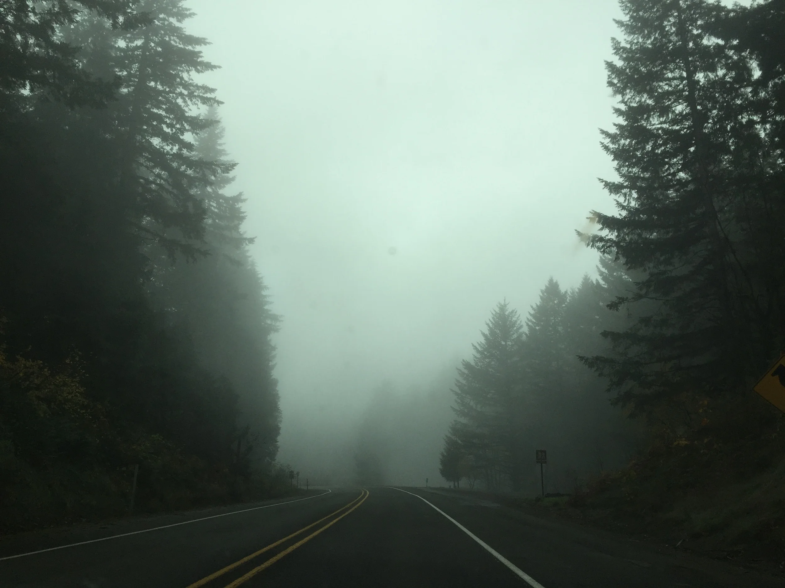 Living with a Partner's Depression