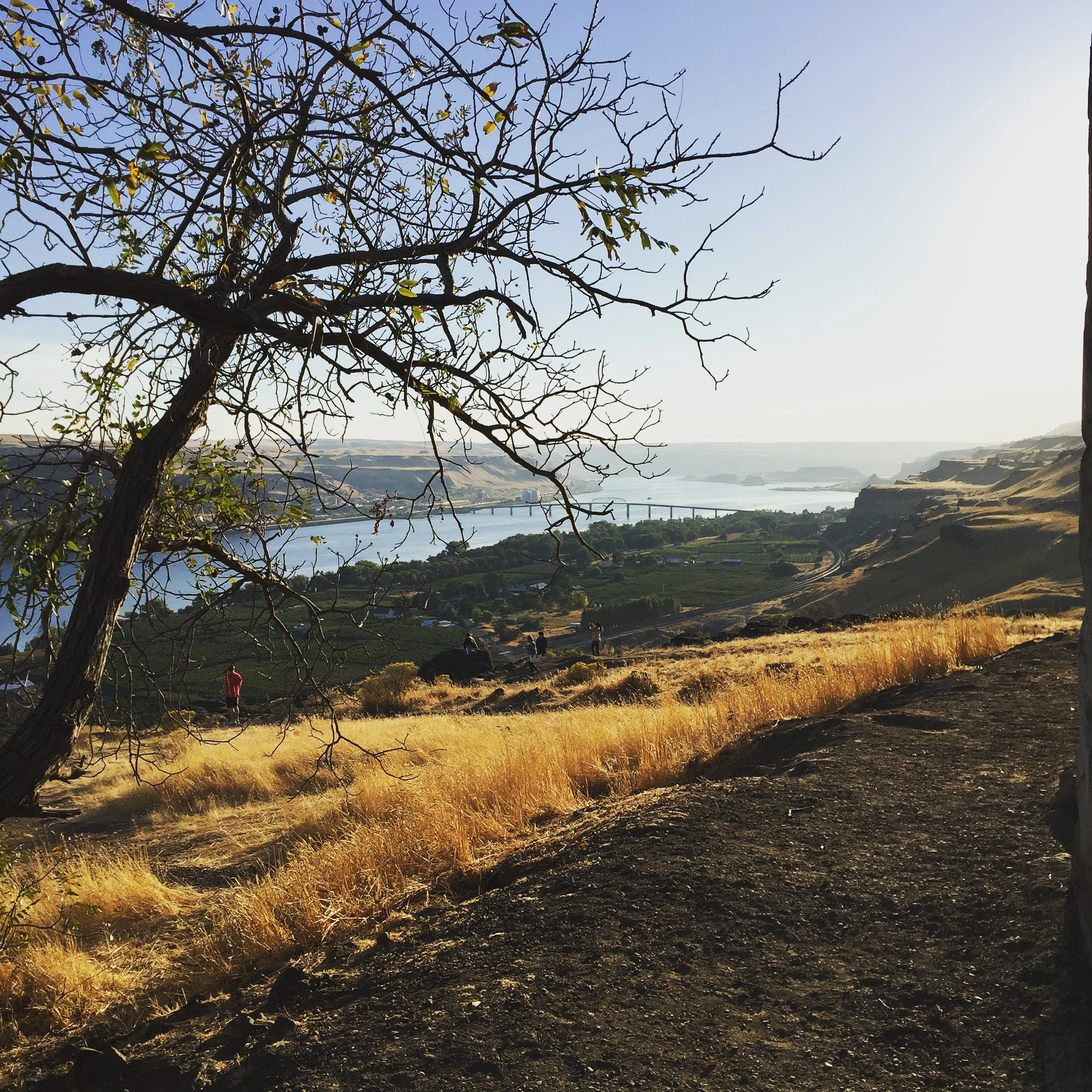 2016: An Exciting, New Year