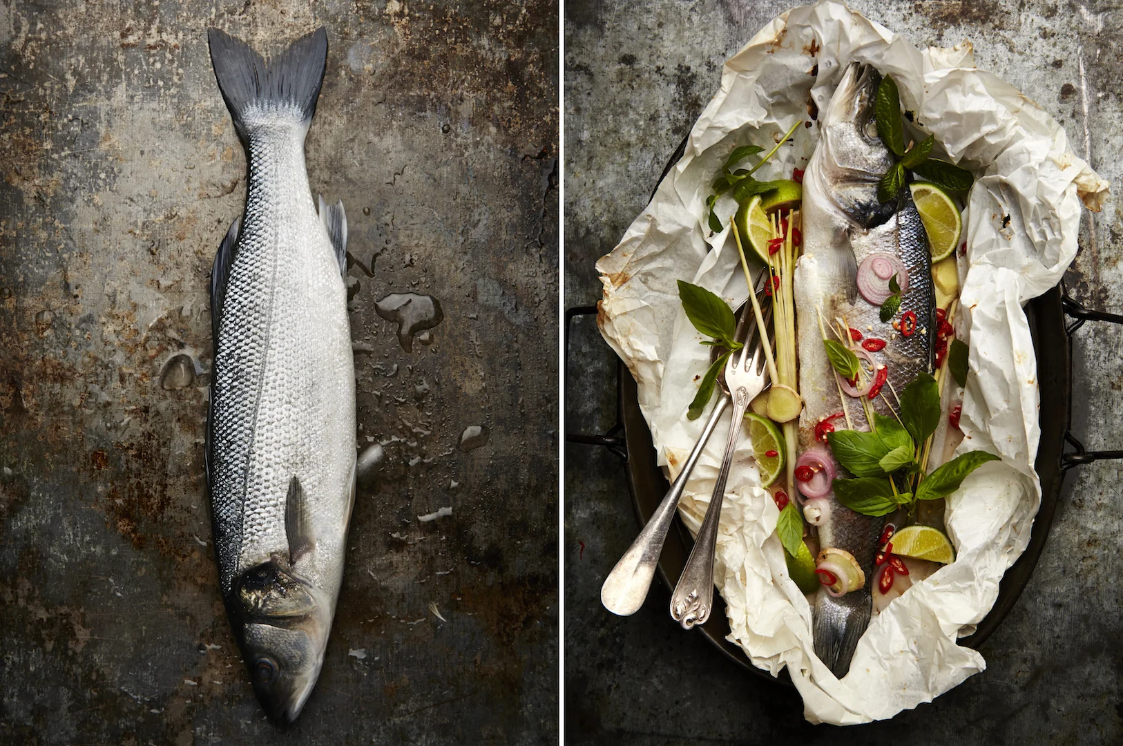 Sea bass