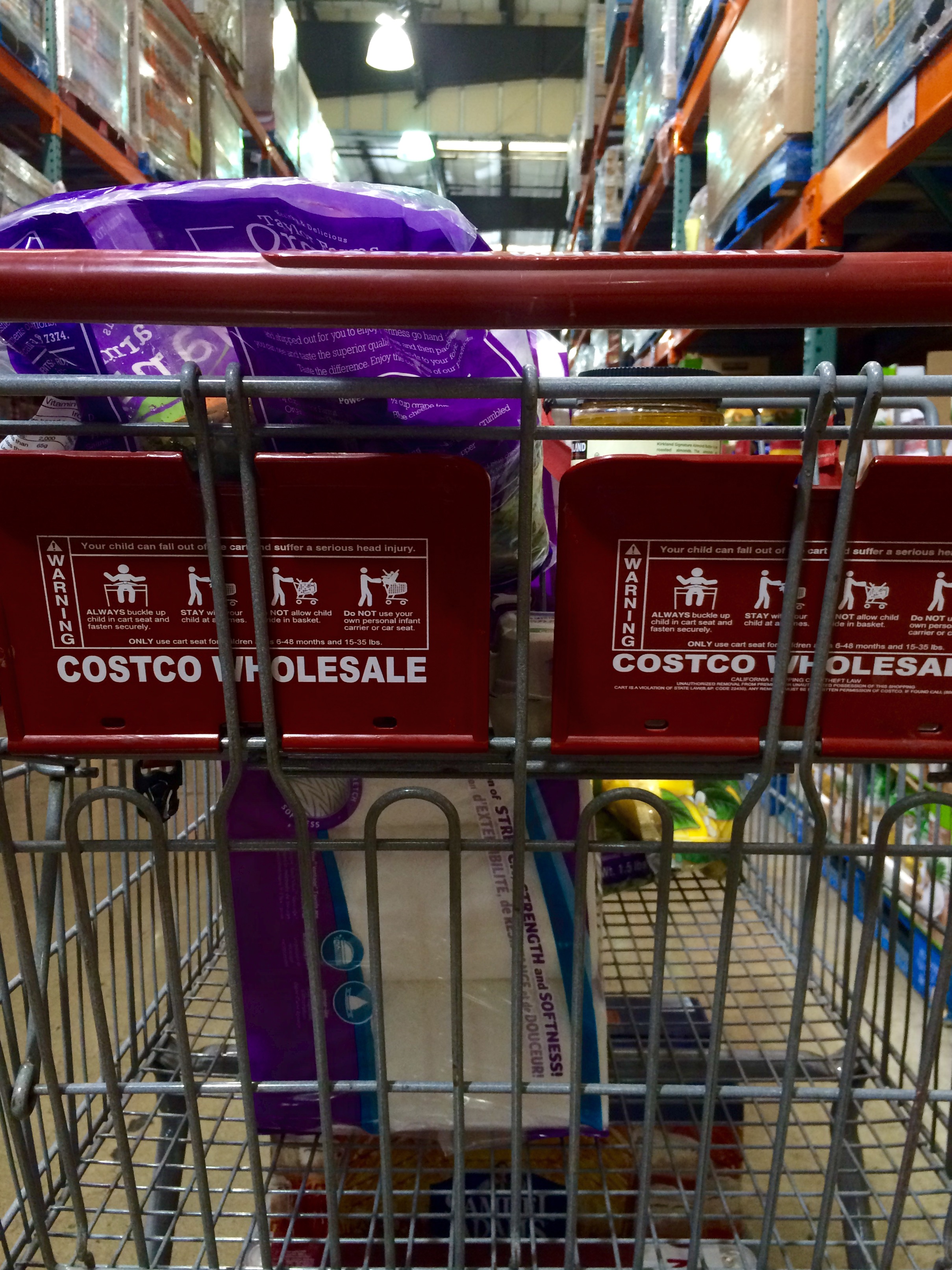 My perspective when pushing a shopping cart.