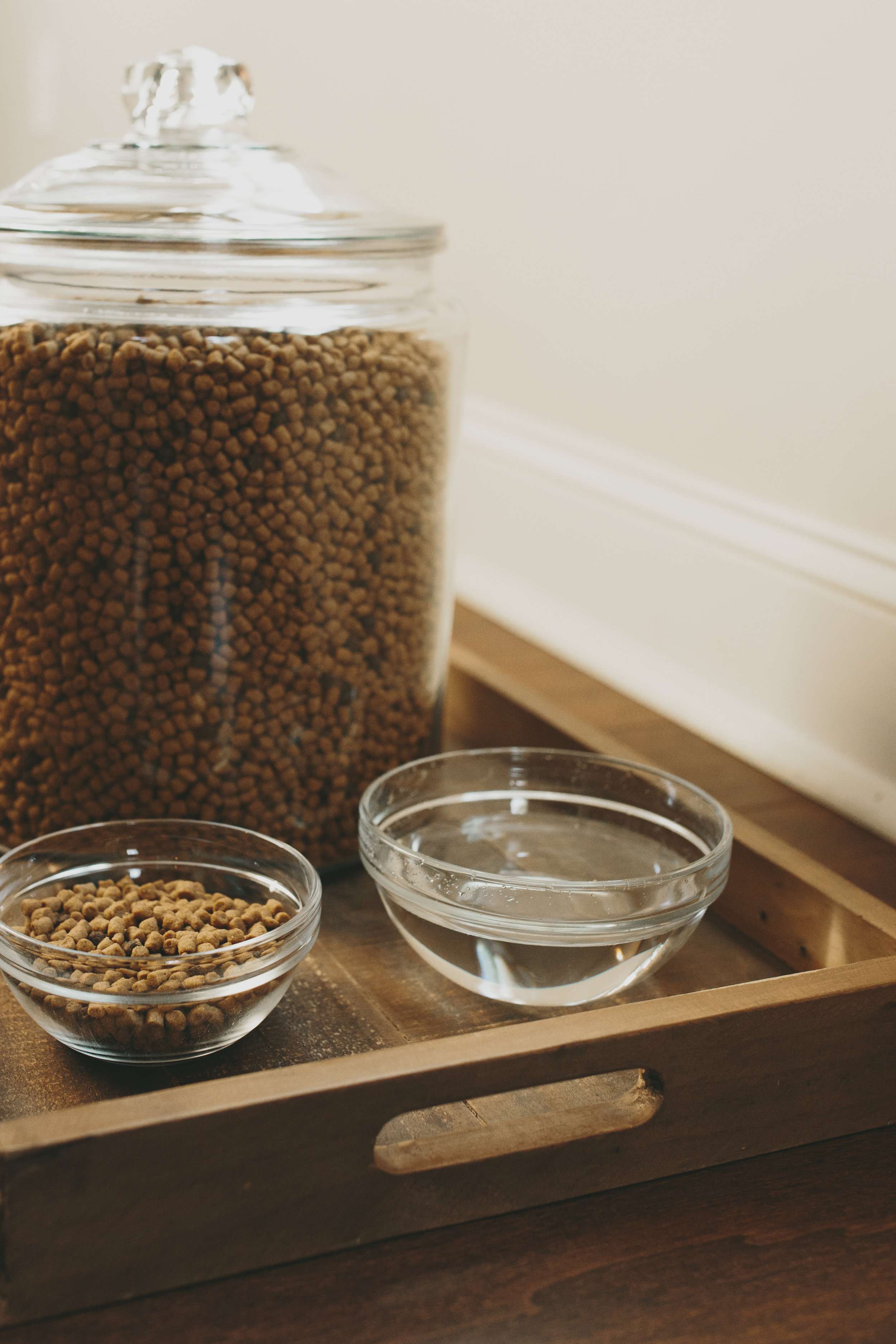 Feeding bowls and other containers for food need not look bad. Pick out items you love seeing in your space.