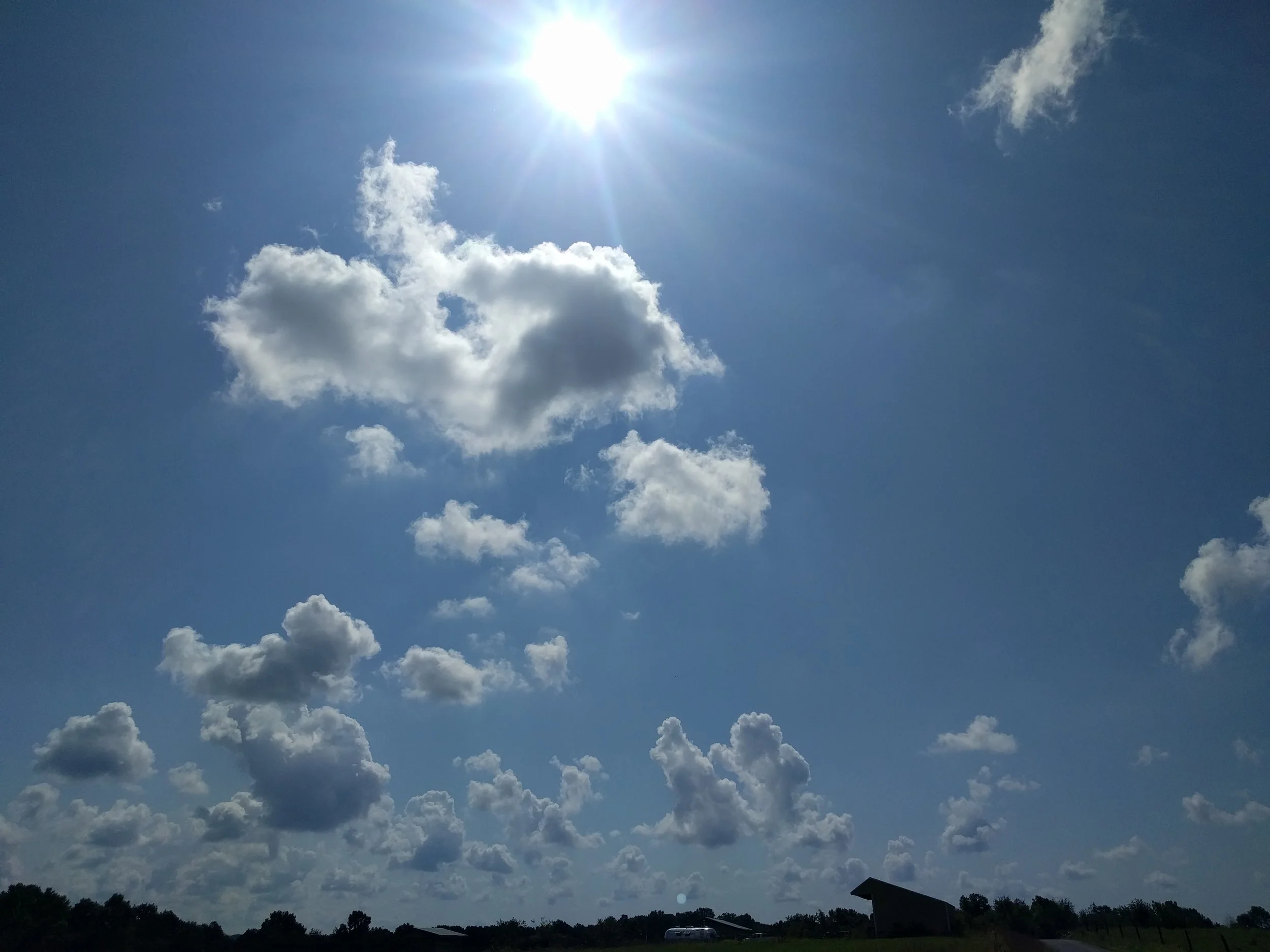 IMG_20170915_110342.jpg