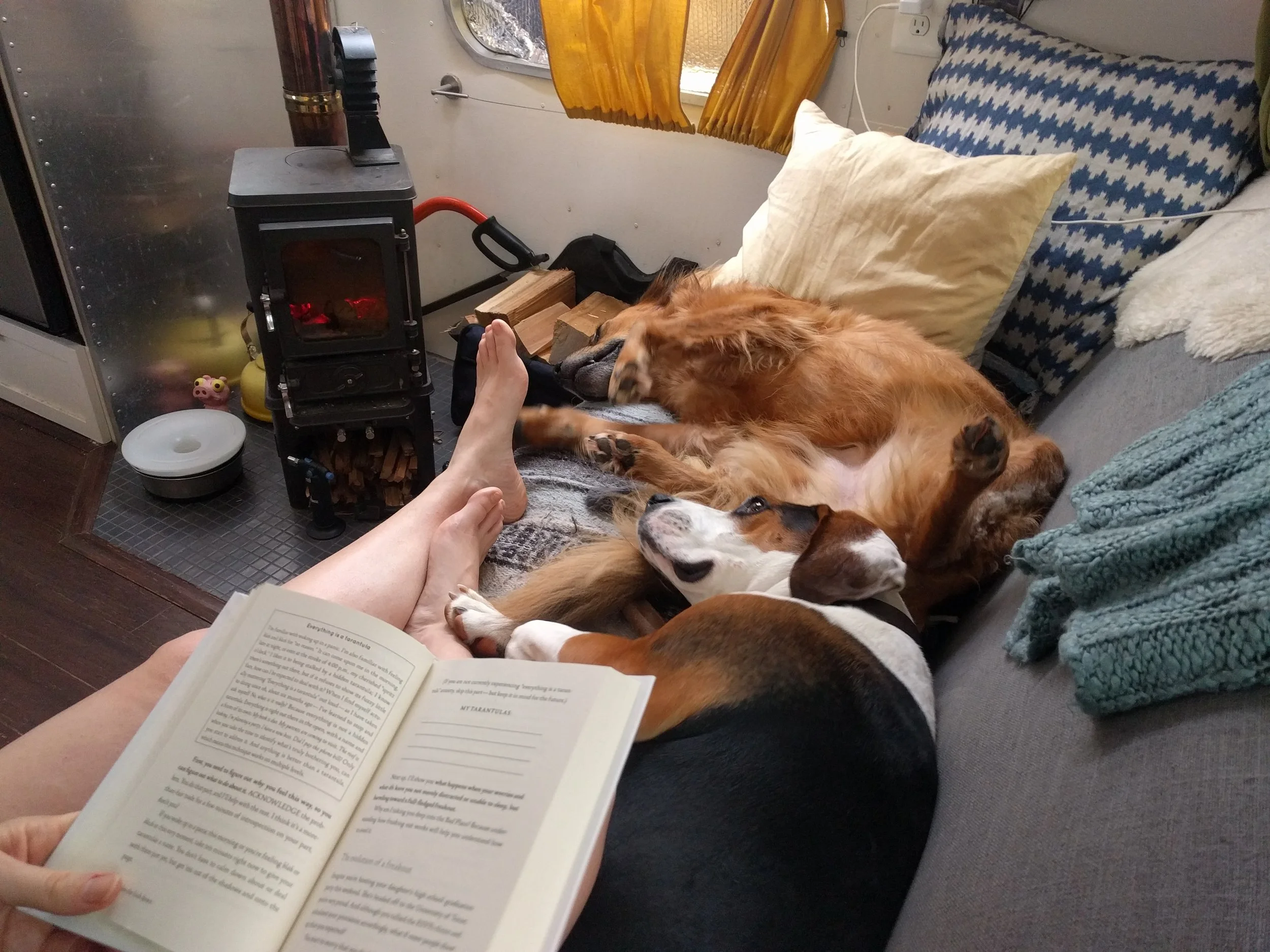 wood-stove-airstream-dogs-on-couch.jpg